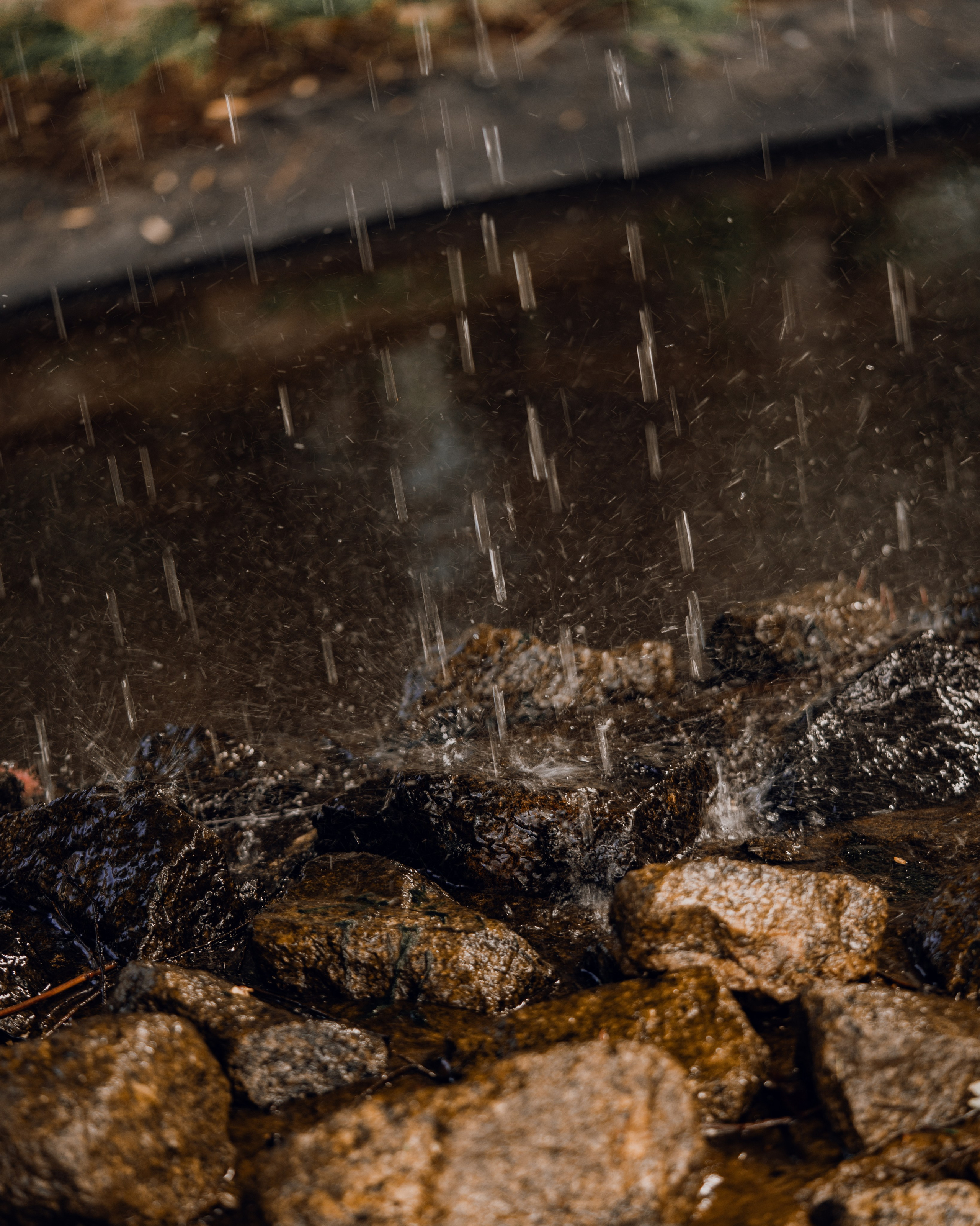 Весь мир на двоих. Портретный и свадебный фотограф в Москве Финкельштенй Анна