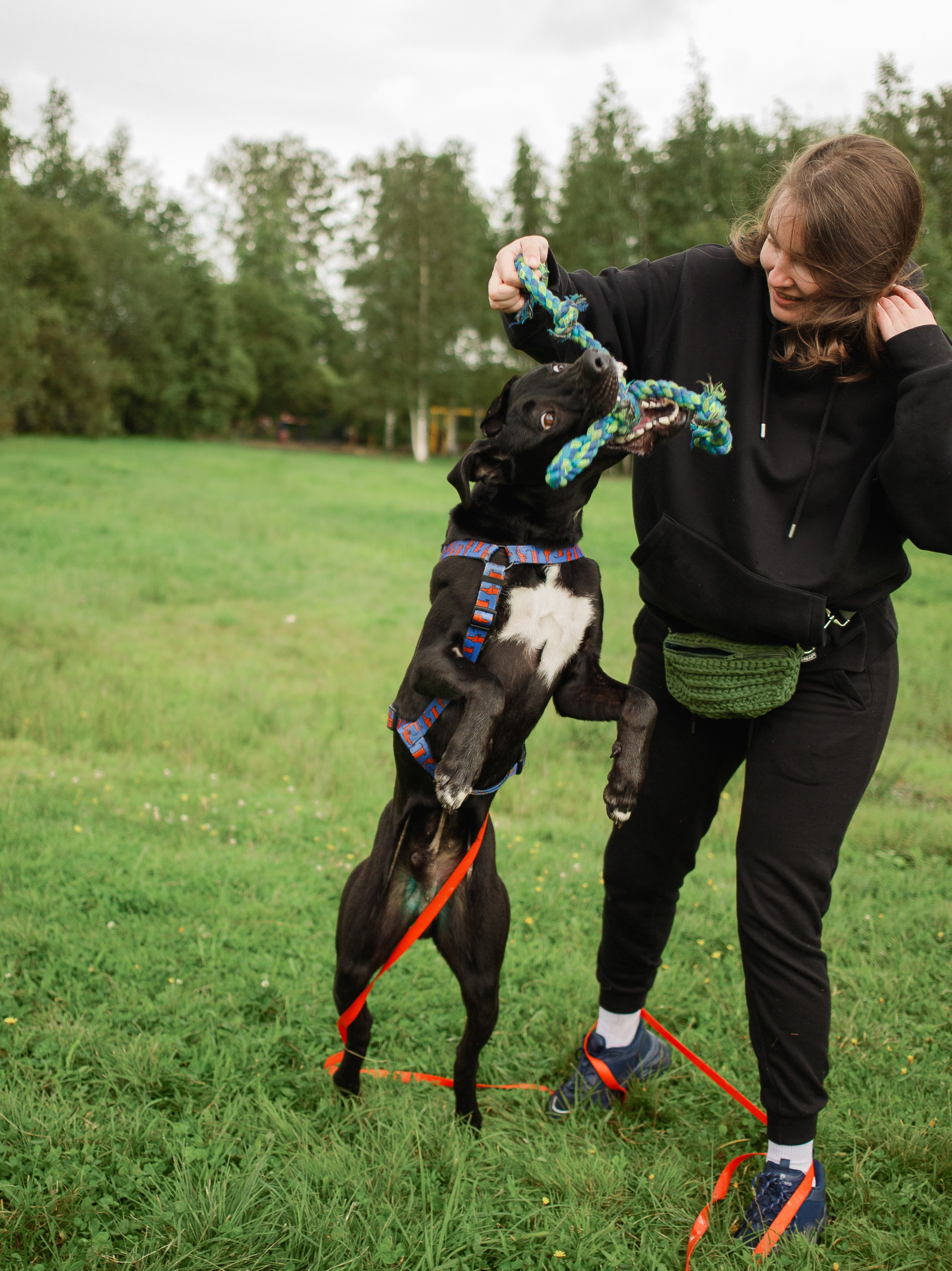 Отис ищет дом. Портретный фотограф в Санкт-Петербурге Катя Протасевич
