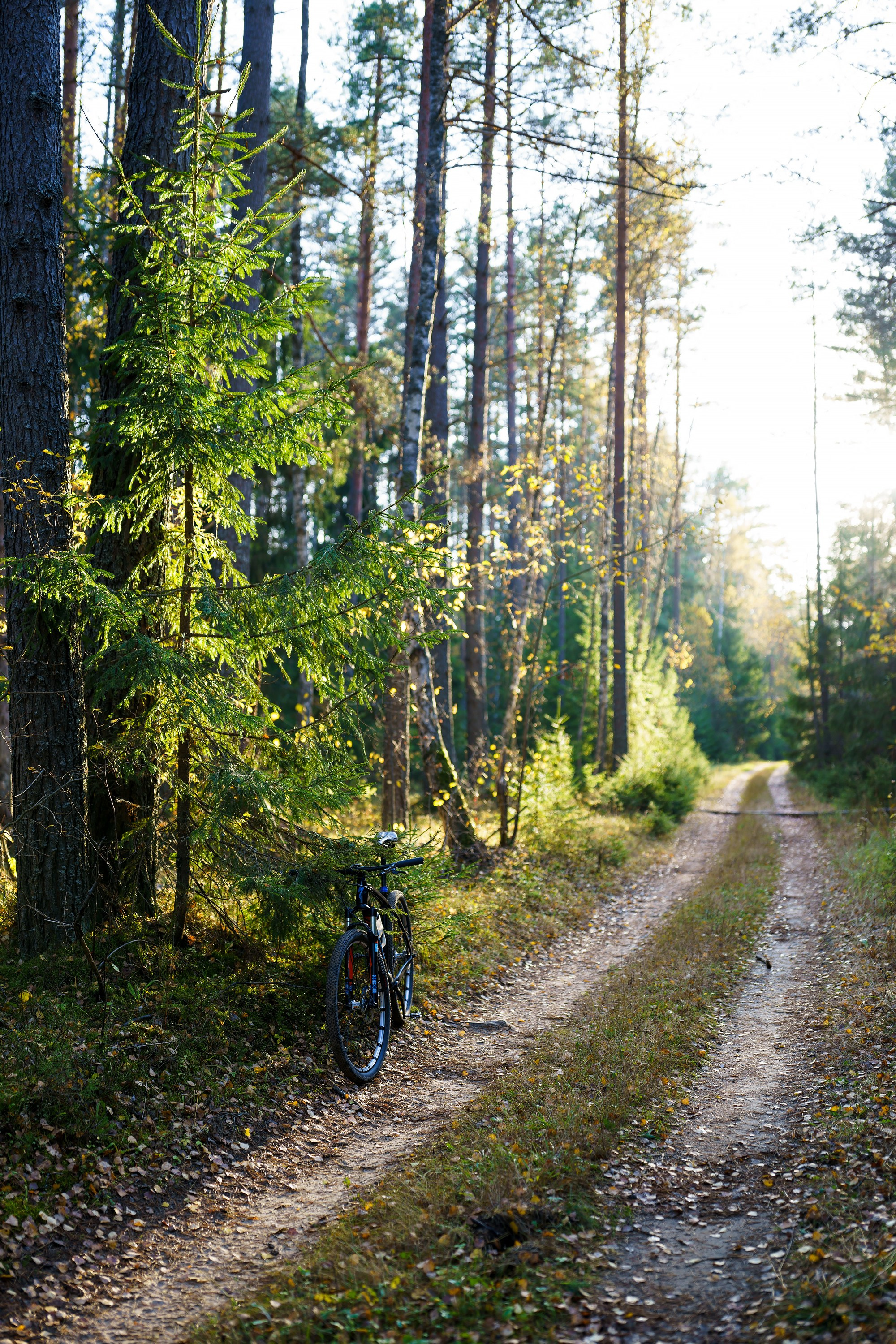 Фотографии Национальный парк Угра. Фотограф спортивные события, недвижимость, турбизнес