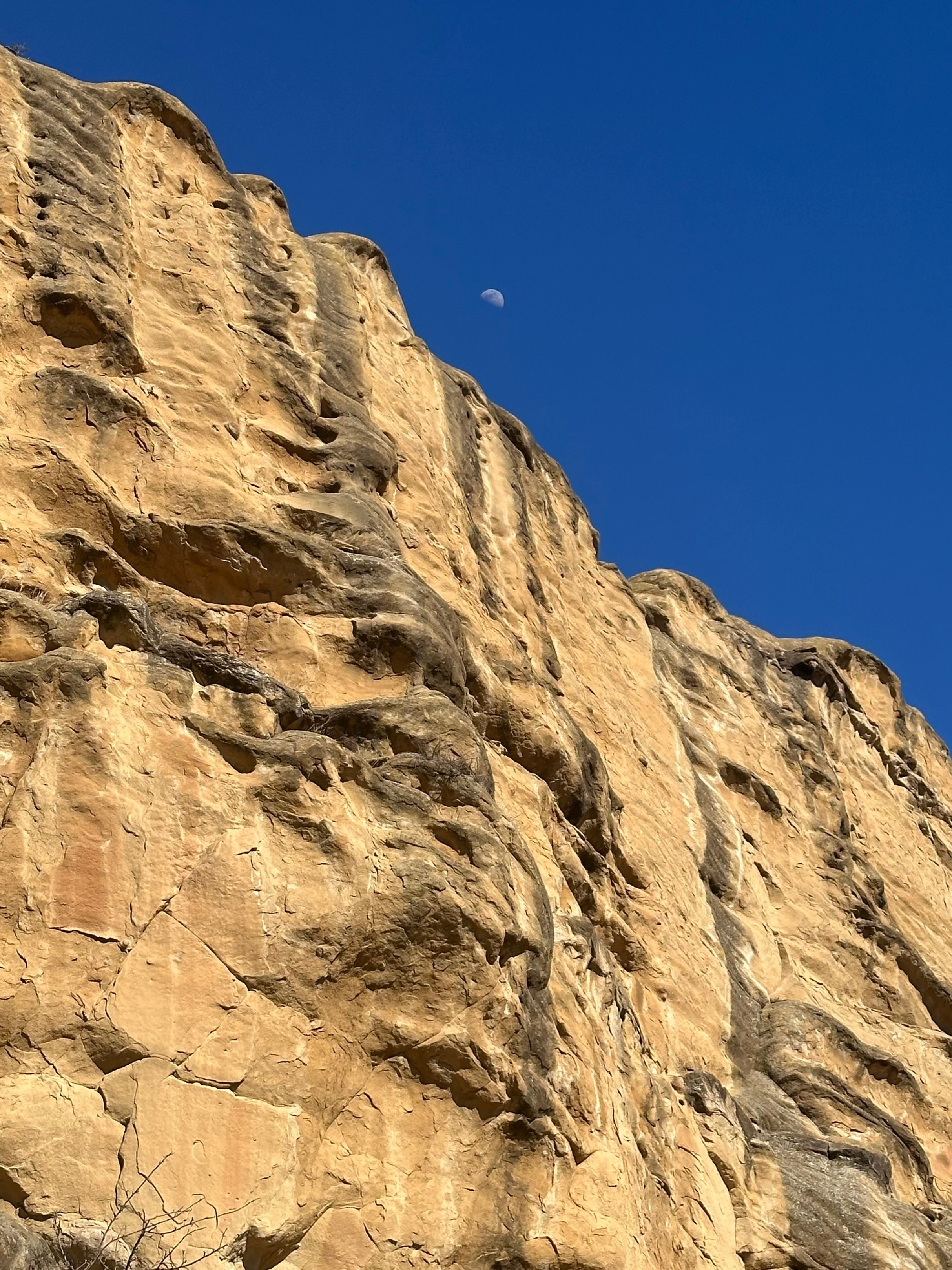 EXHIBITION. Репортажный и интерьерный фотограф, фотохудожник