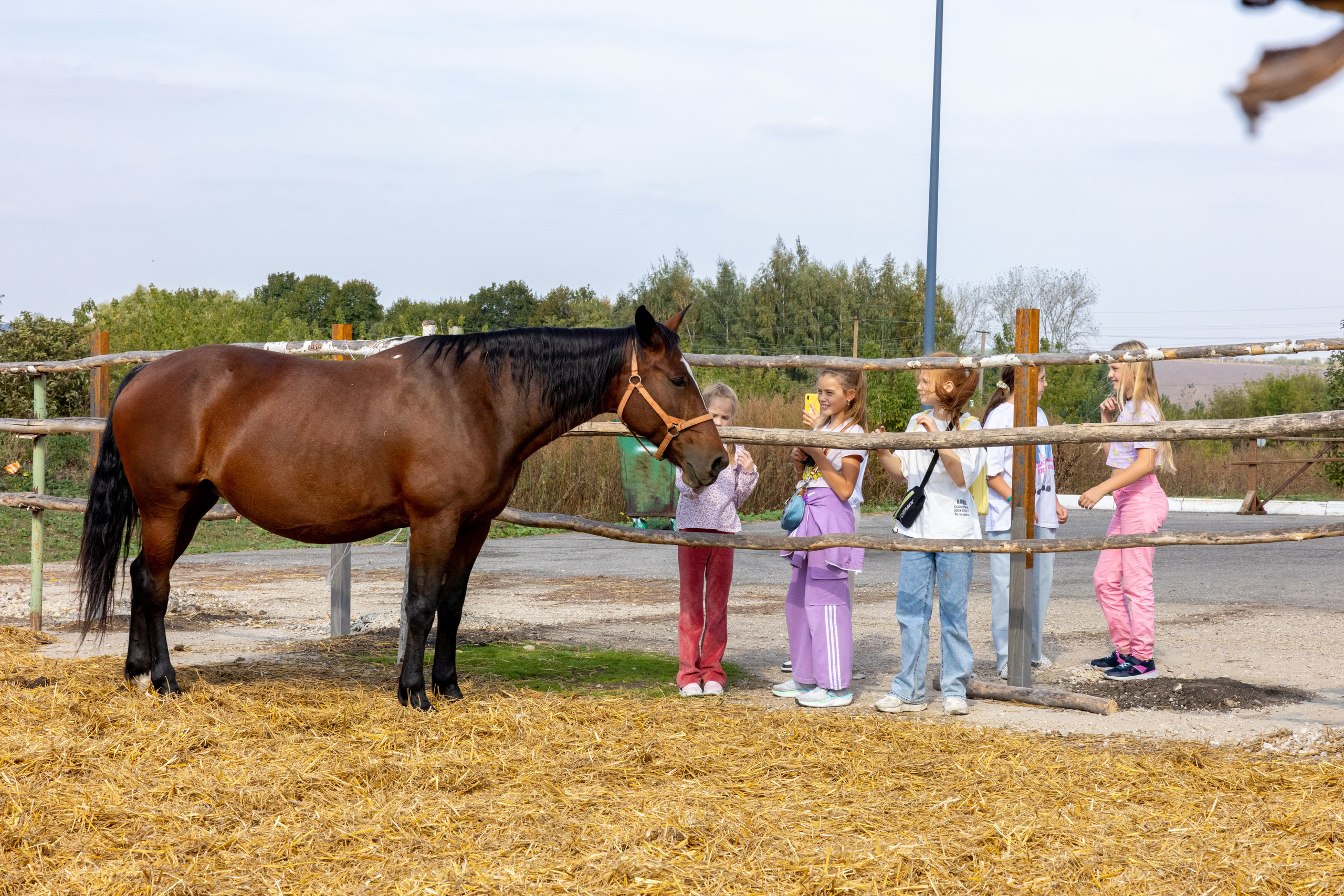 Поездка на поле Кулеково. Фотограф в Туле Крупский АнДРей. Фотостудия «КАДР71» в Туле