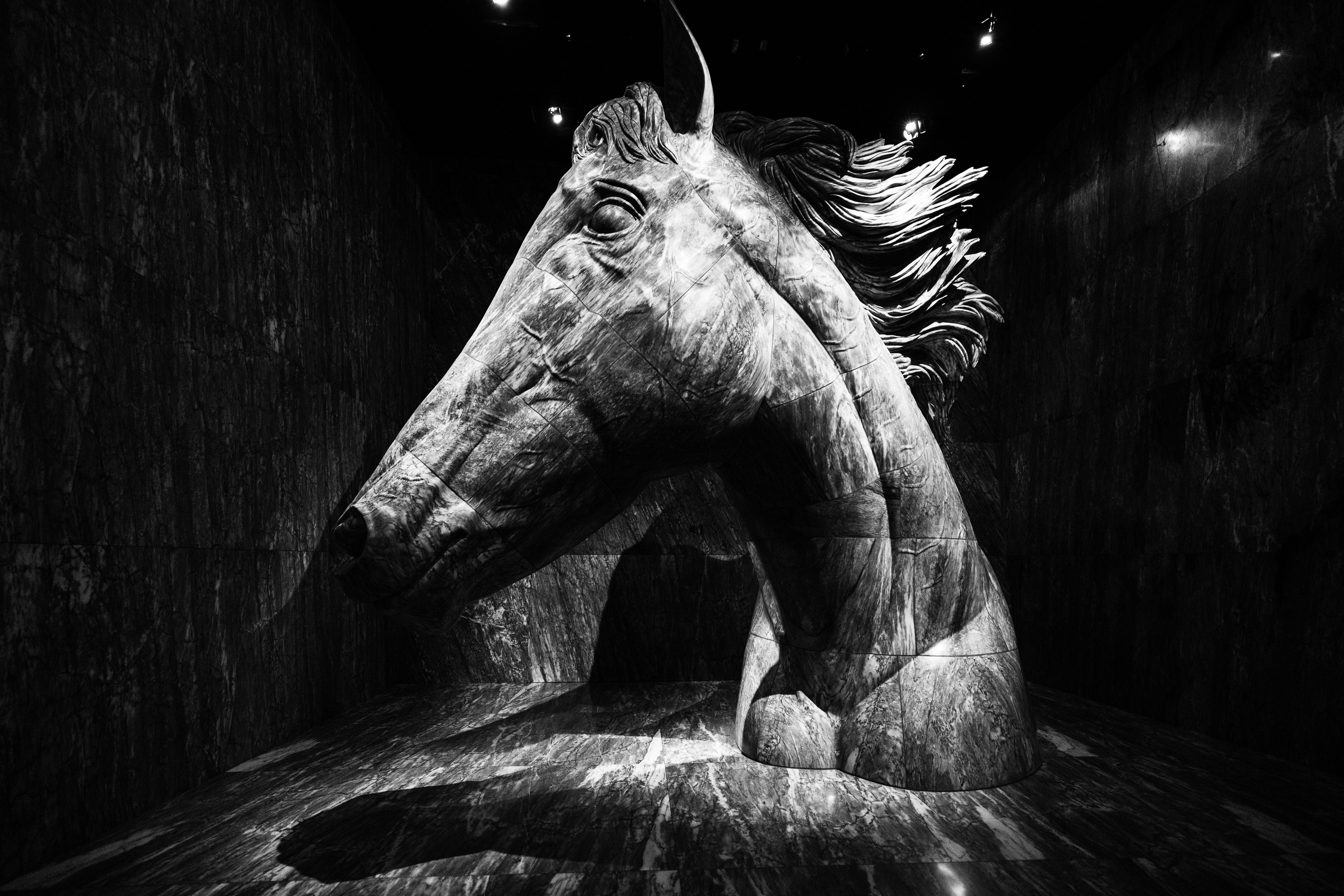 Дубай 2023. Руслан Плахтеев