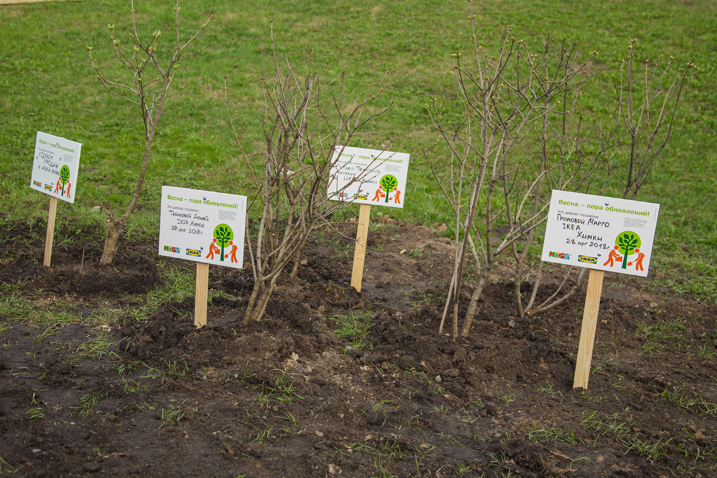 МЕГА Субботник. Дима Колес / фото и видео съёмка в Москве