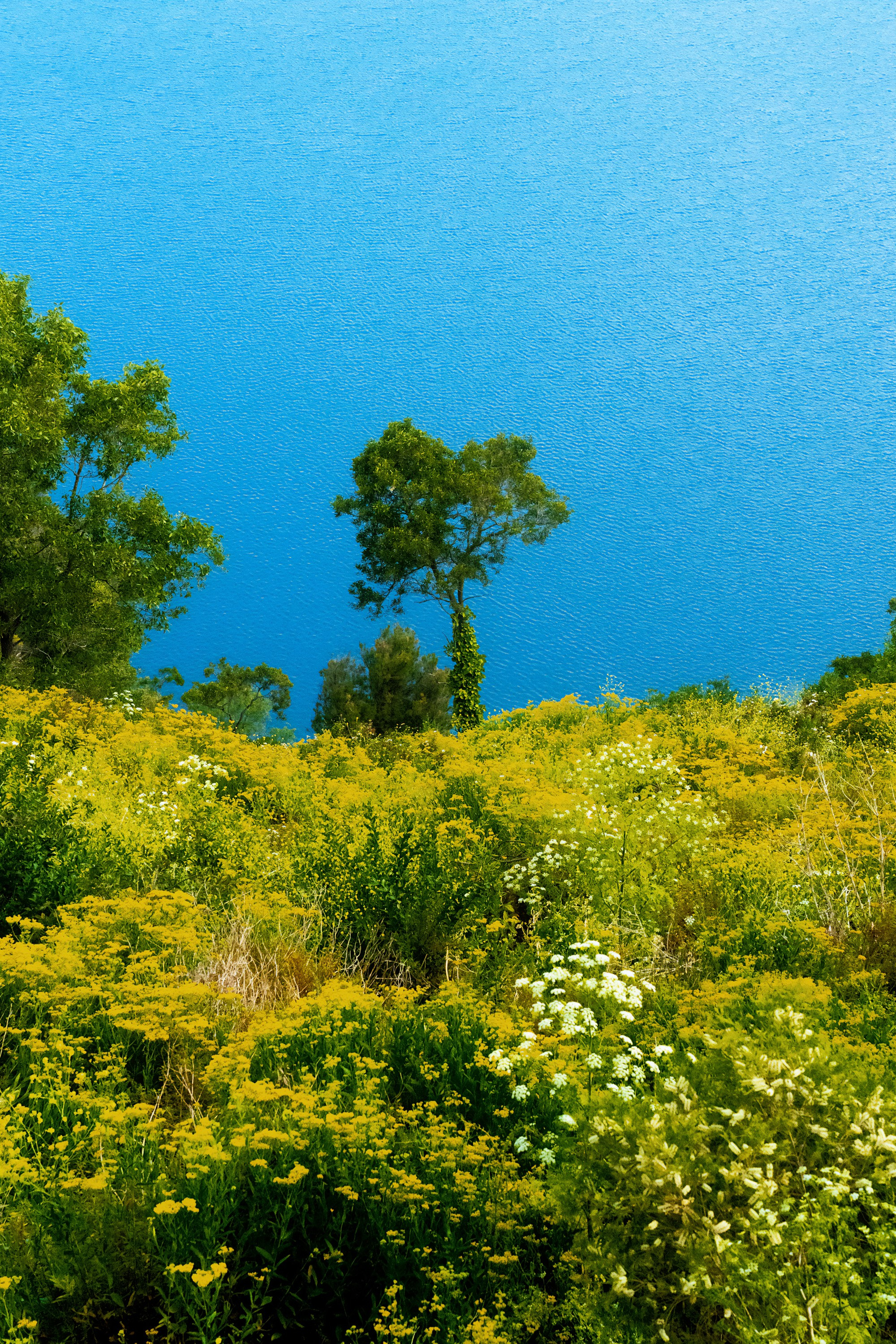 Австралия. Фотограф в Хабаровске. Фотография за 24 часа