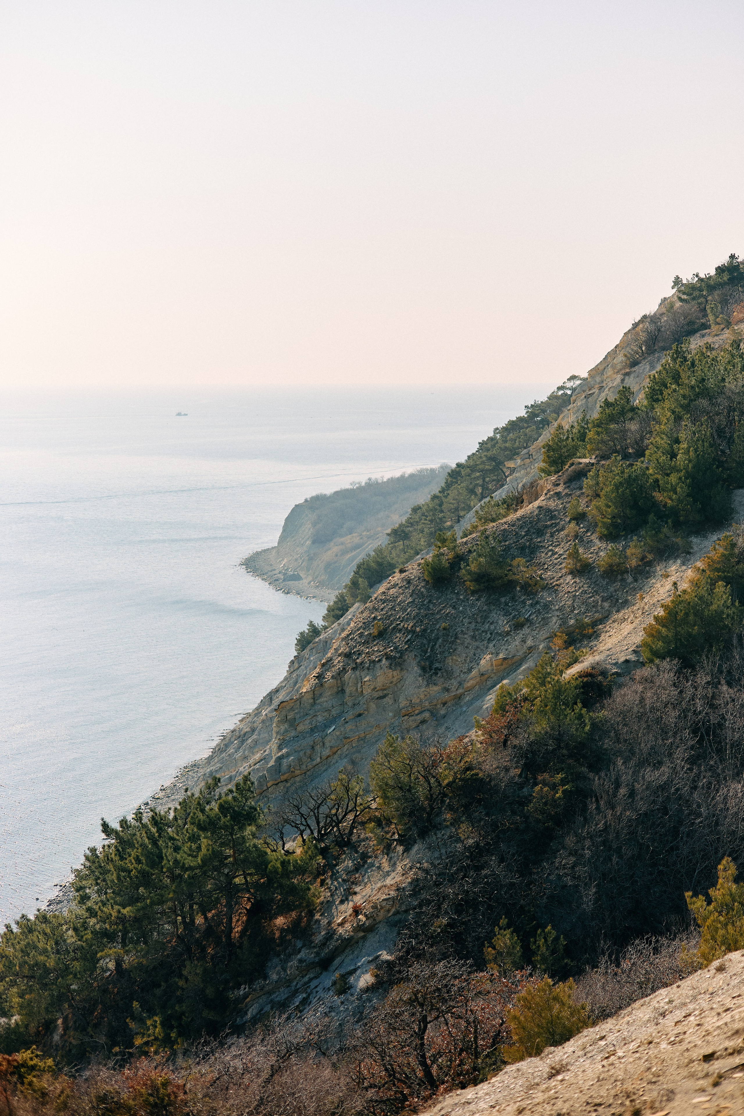 Юг России. Профессиональный Фотограф во Владимире, в Москве и в Суздале — Полина Романычева