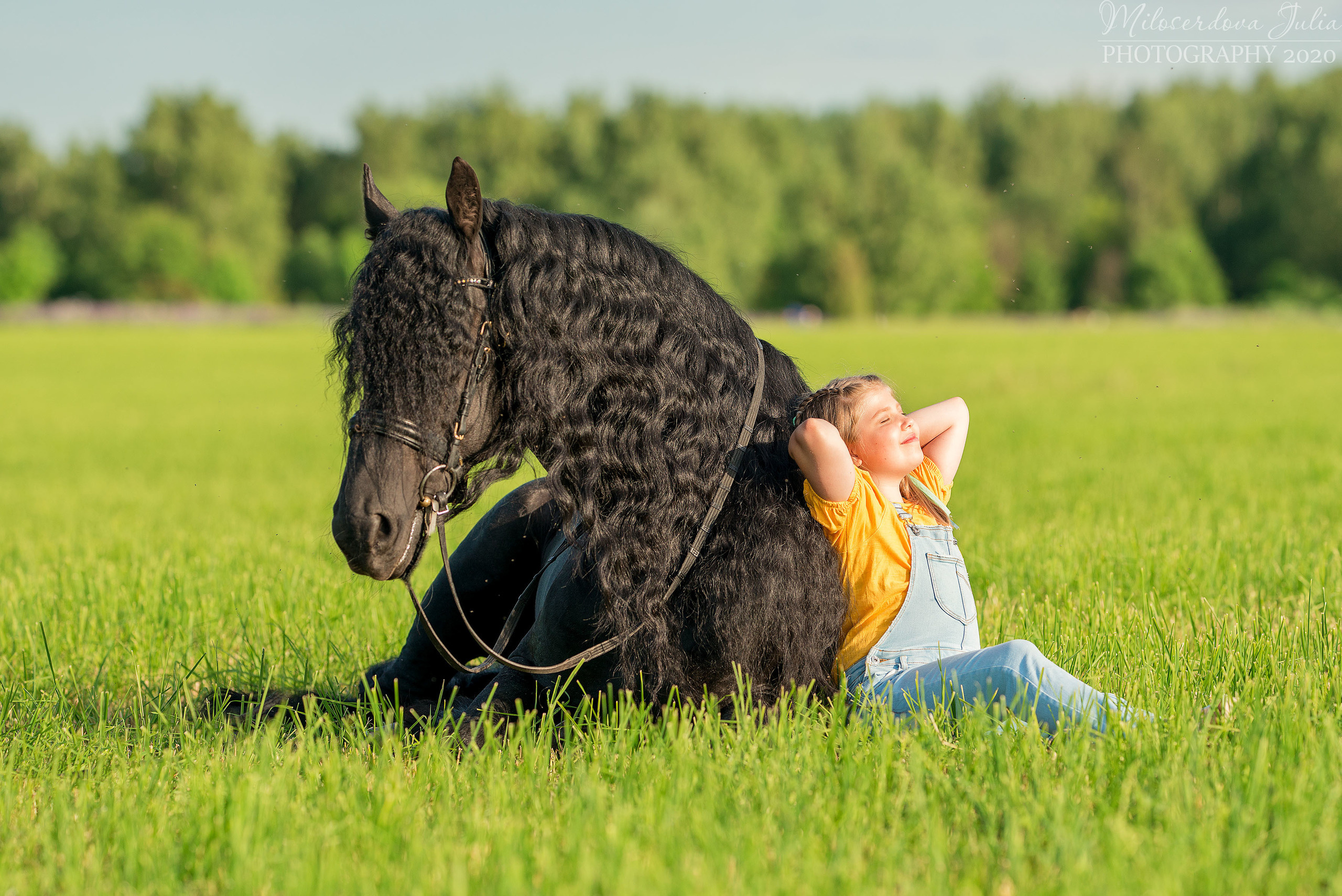 Фотосессии с лошадьми. Фотограф Юлия Милосердова