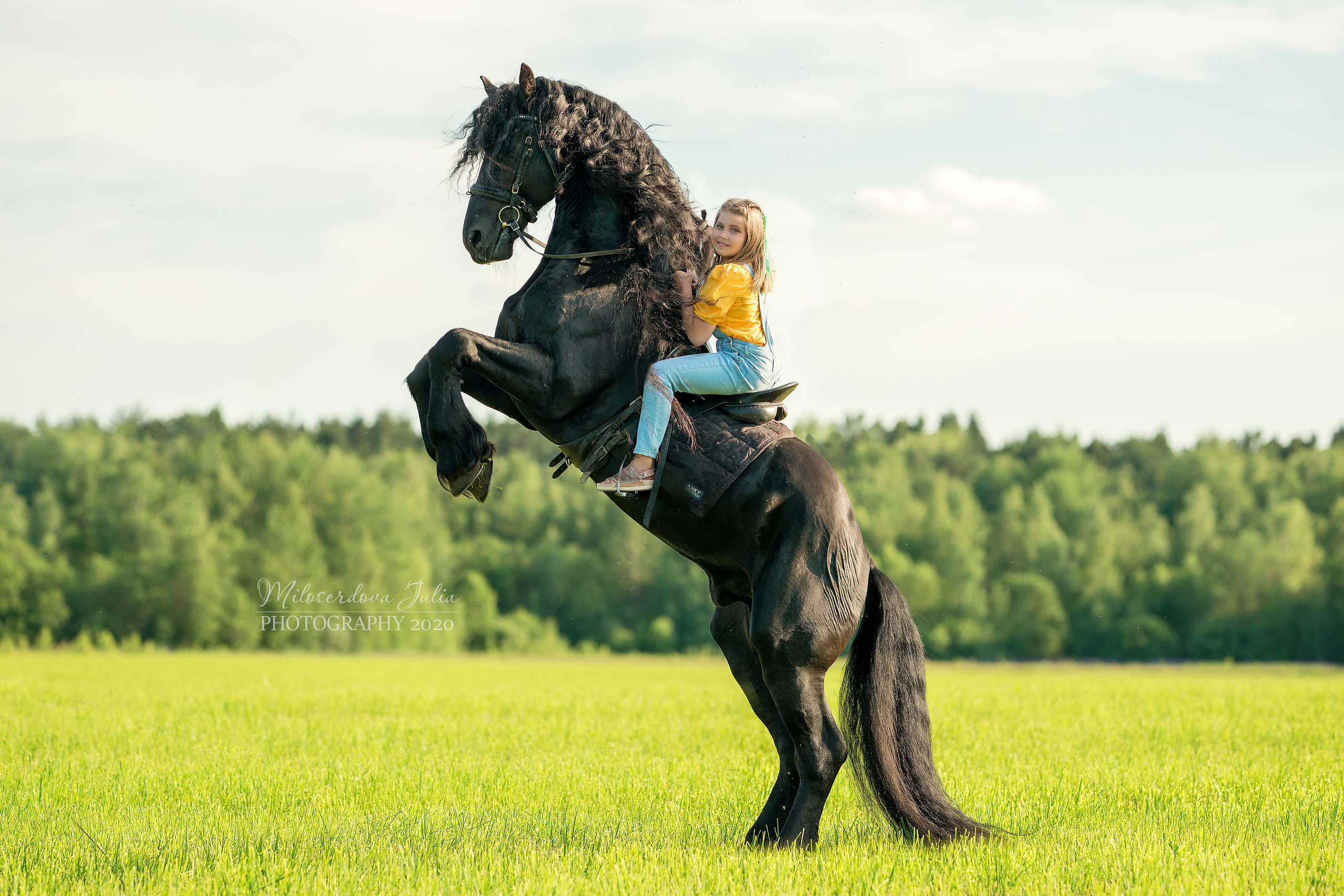 Фотосессии с лошадьми. Фотограф Юлия Милосердова
