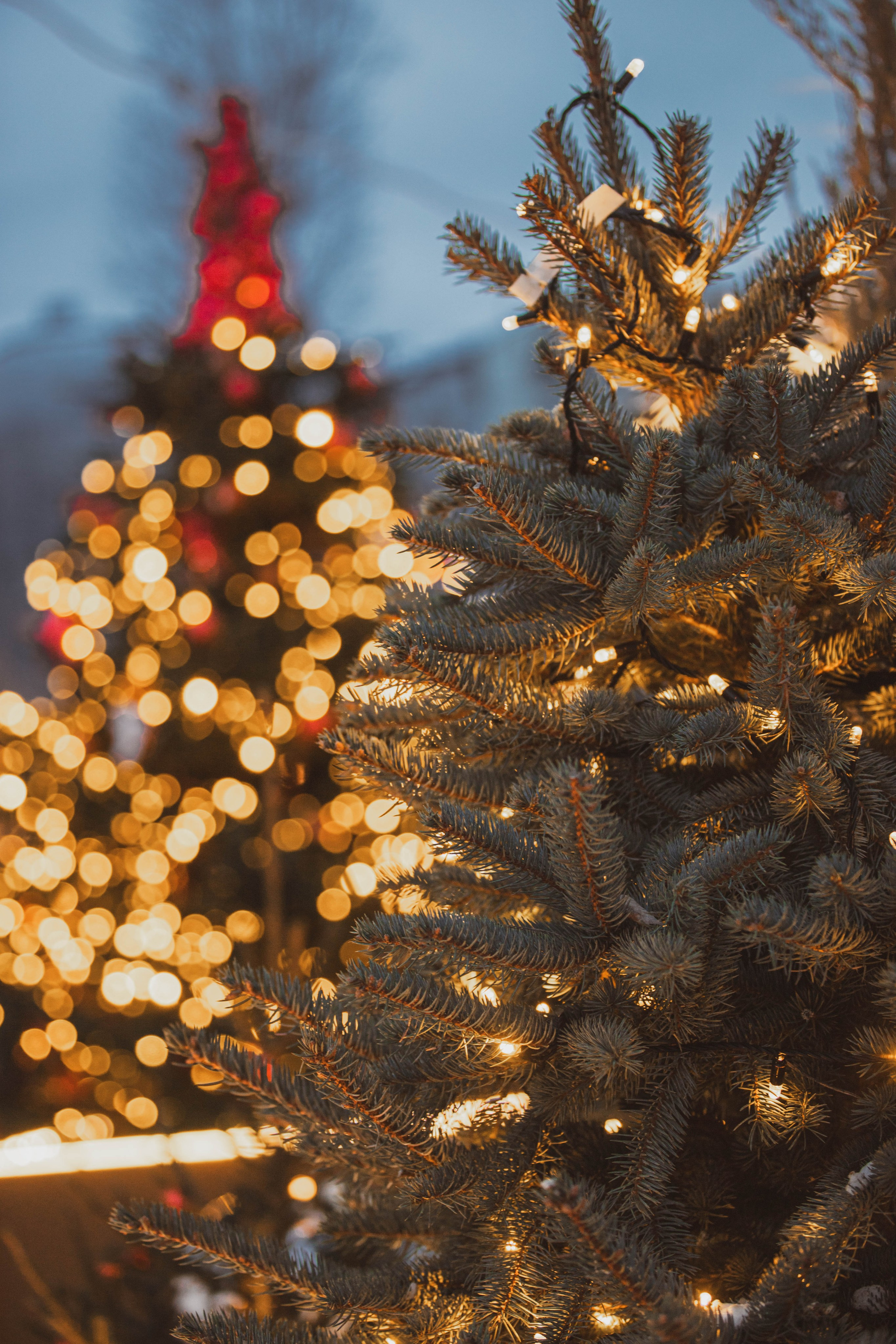 Ночная Москва. Александра Мельниченко/ Бегающий фотограф