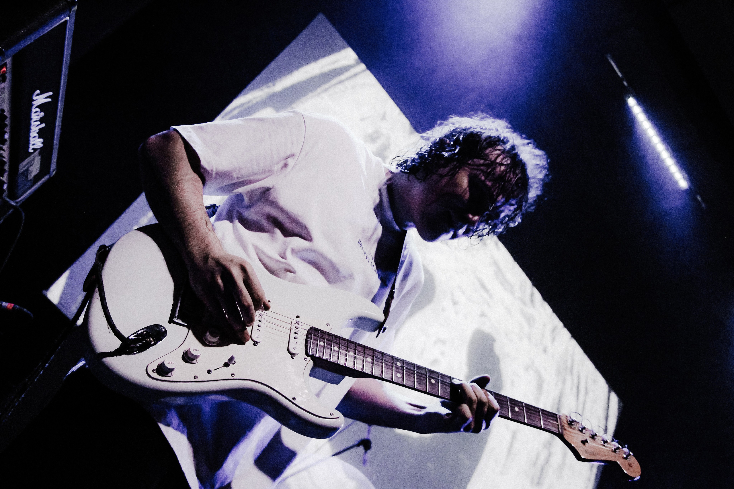 ПЛАВИЦА | ЛАСТОЧКА. Фотограф из Петербурга Софи Веритас Концерты и портреты