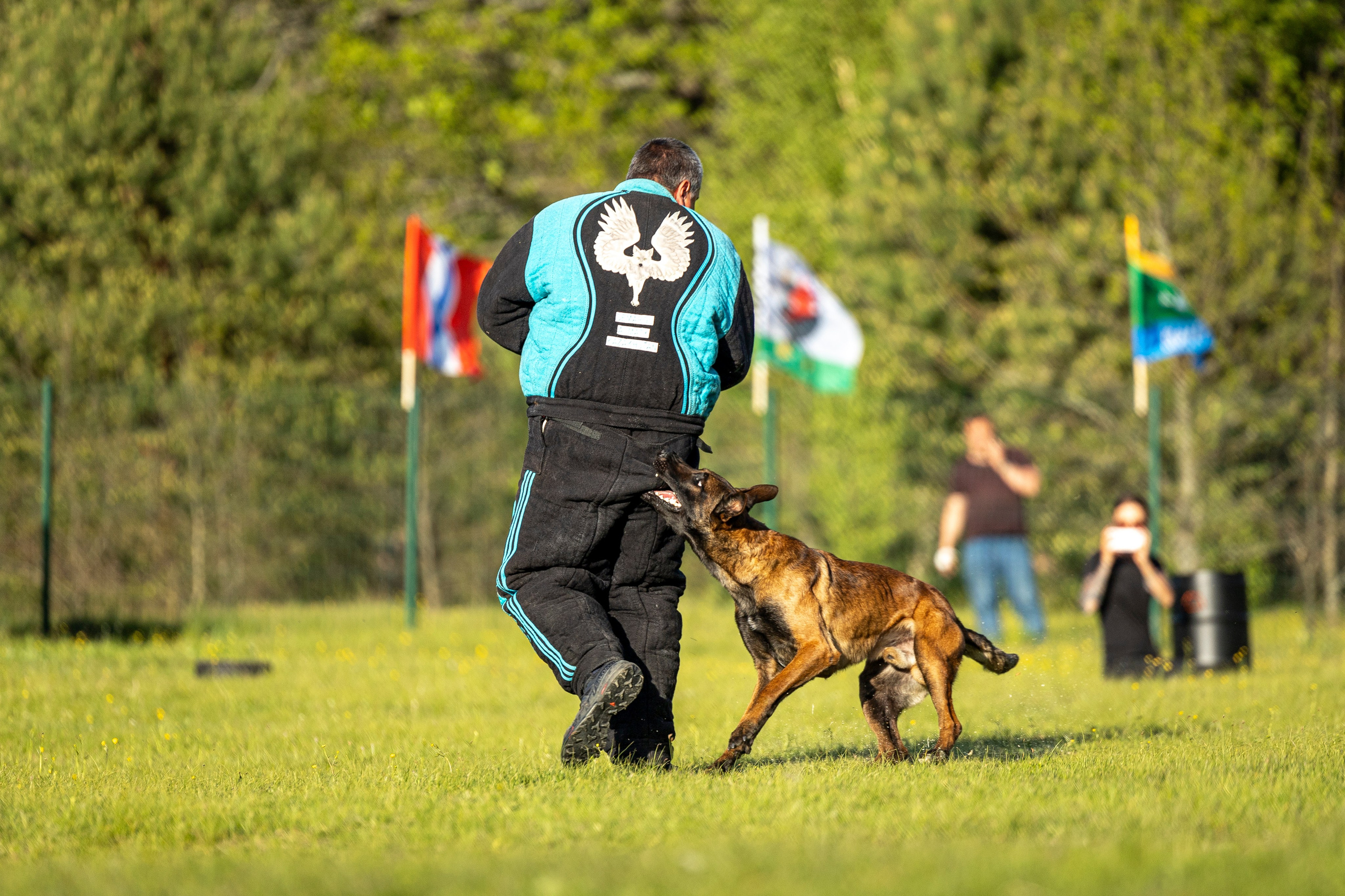 Испытания по мондьорингу в Нижнем Новгороде. Фотограф-анималист Анна Маринич