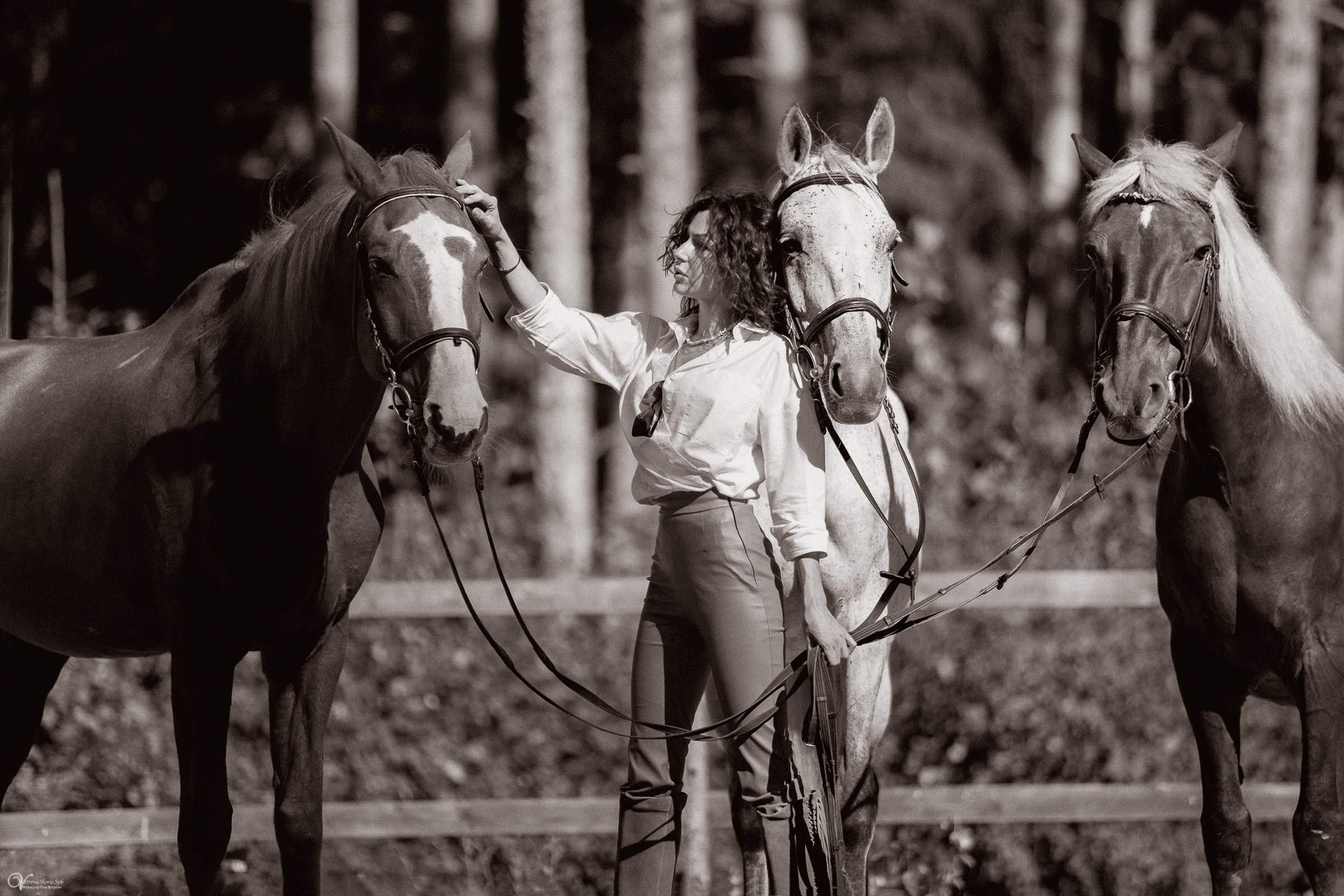 Фотосессия с лошадьми в кантри стиле. Фотограф женский и мужской портрет Санкт-Петербург