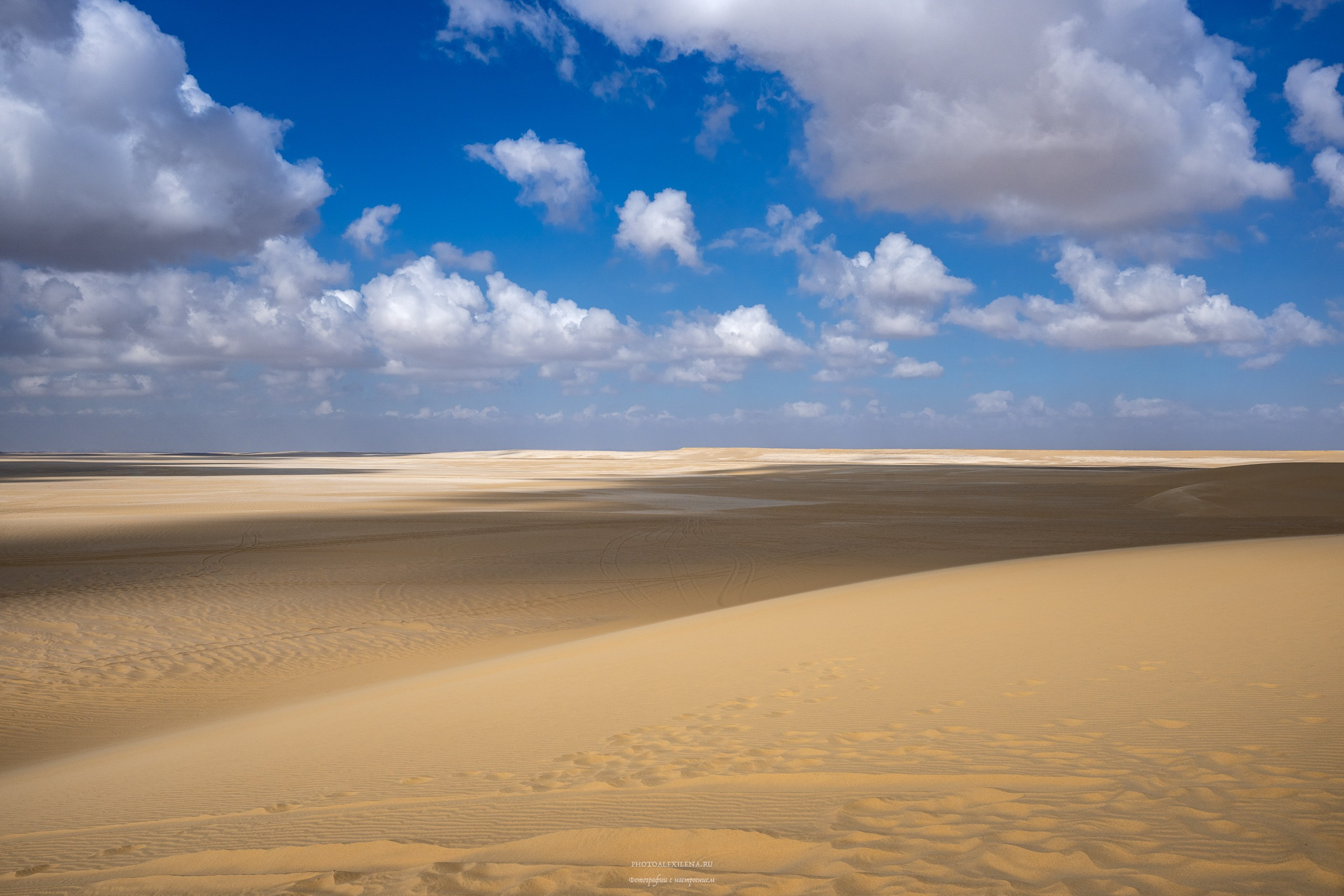 Снова в пустыню, за скелетами…. Авторские стильные фотокартины