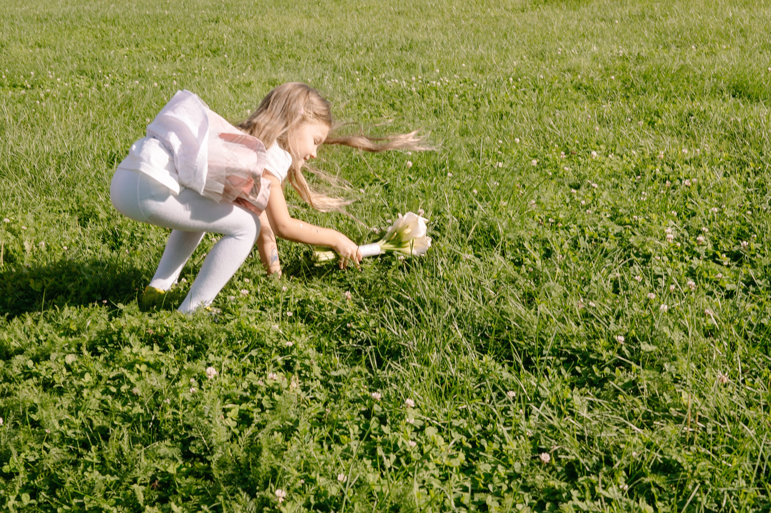 Летнее Коломенское. Репортажный фотограф в Москве и по всему миру Степанова Юлия
