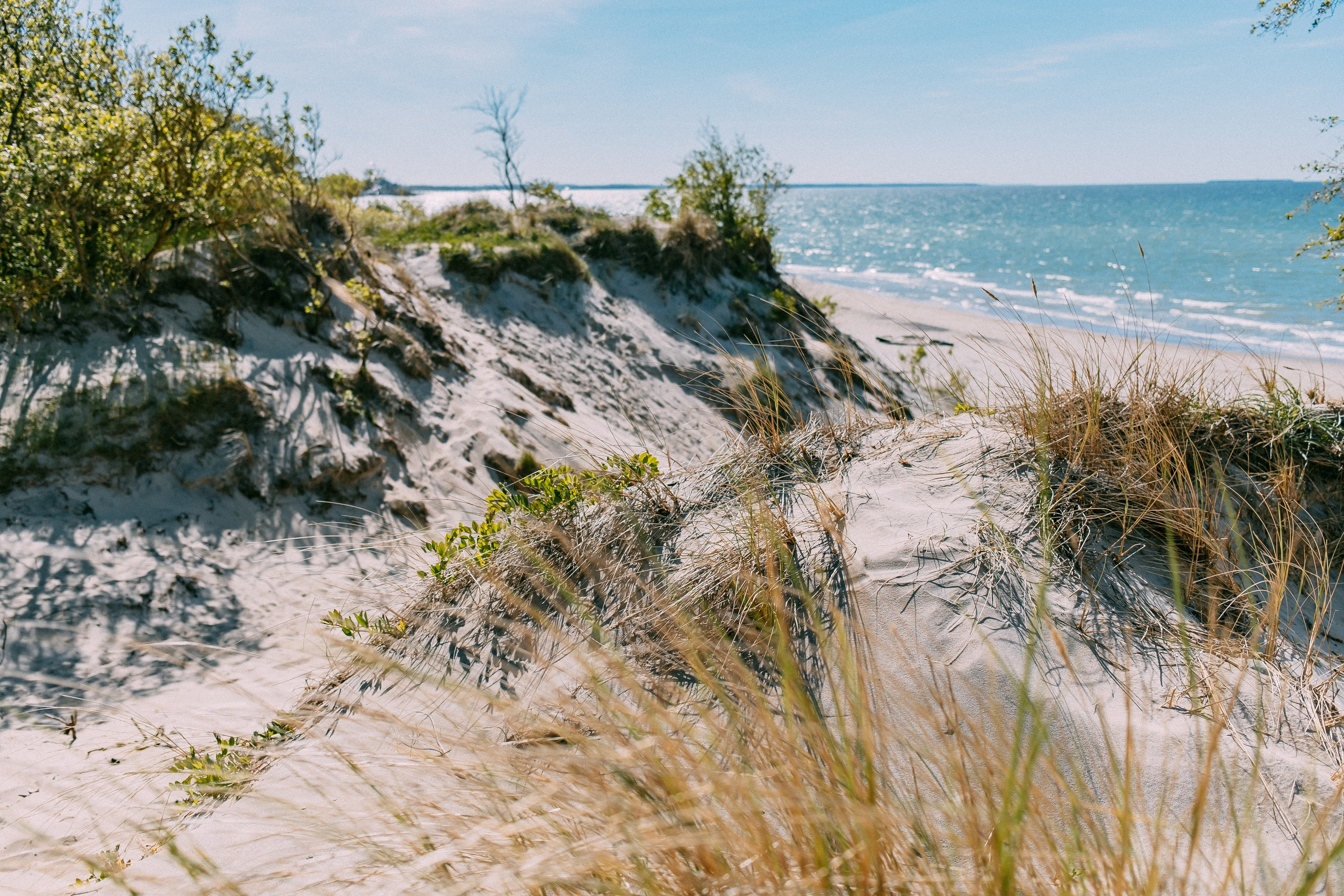 Зеленоградск. Аня Степанова