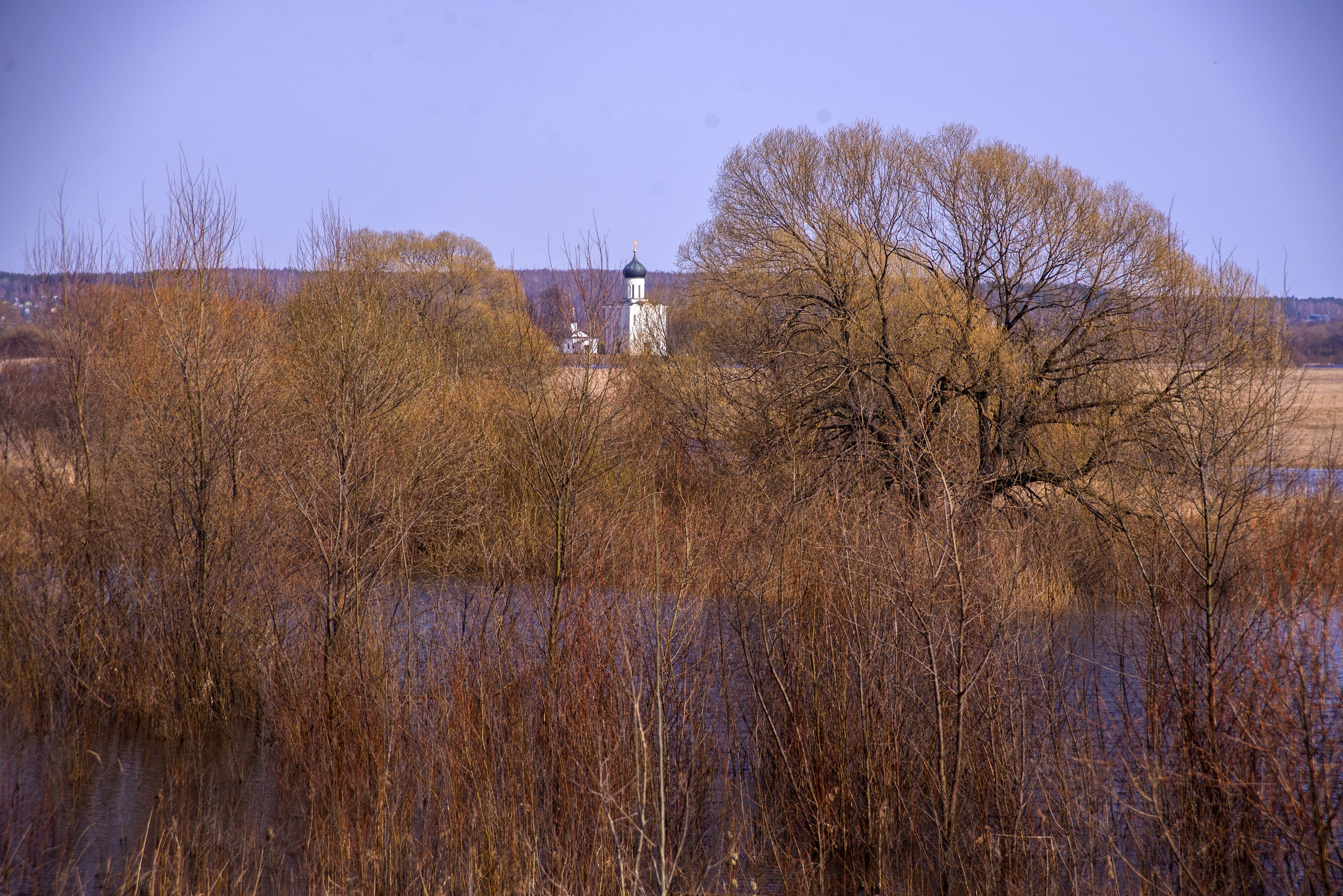 Боголюбово. Апрель 2021. Игорь Жучков. Россия увиденная глазами путешествующего фотографа