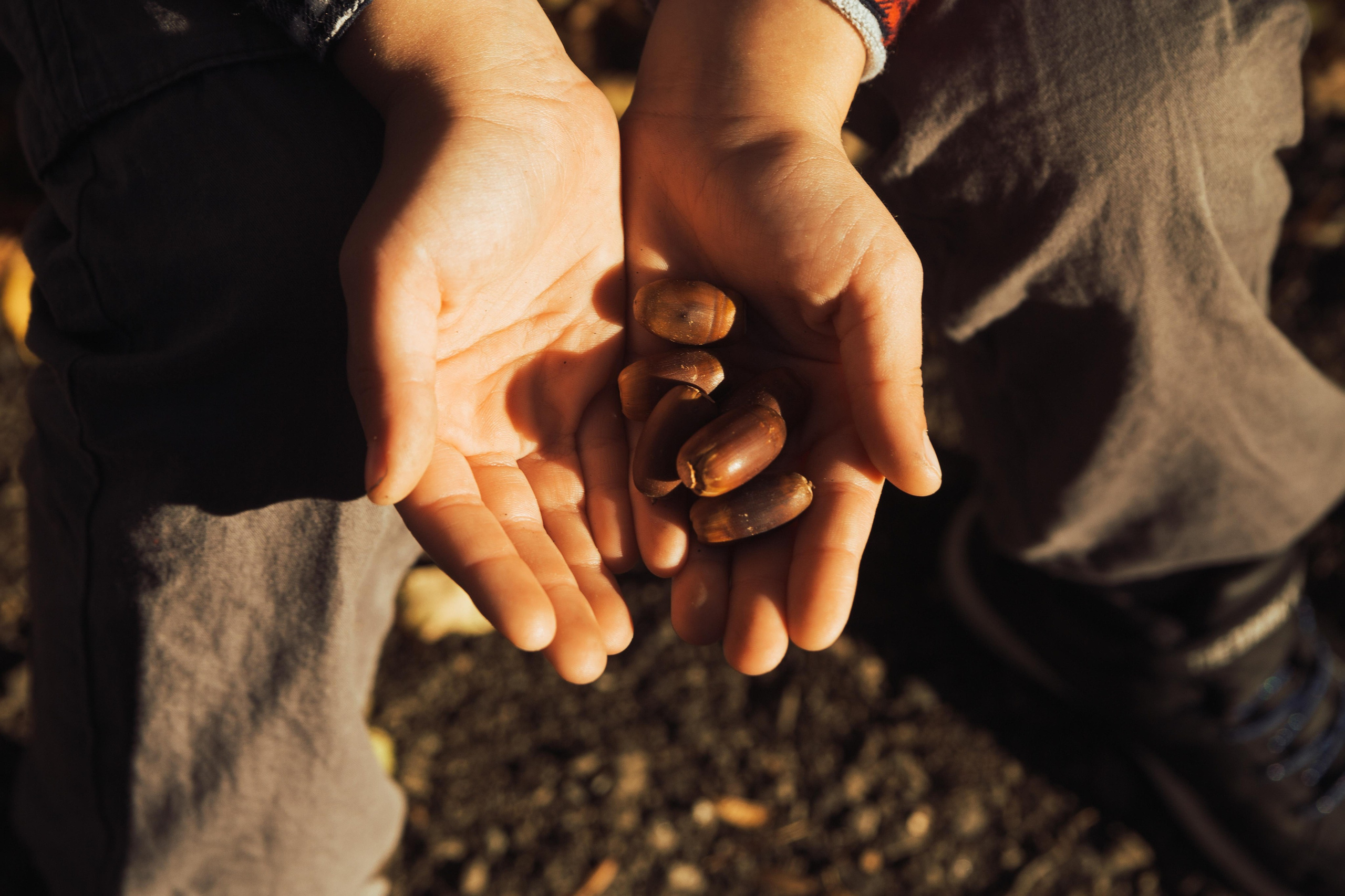 История одного путешествия. Семен Соколов