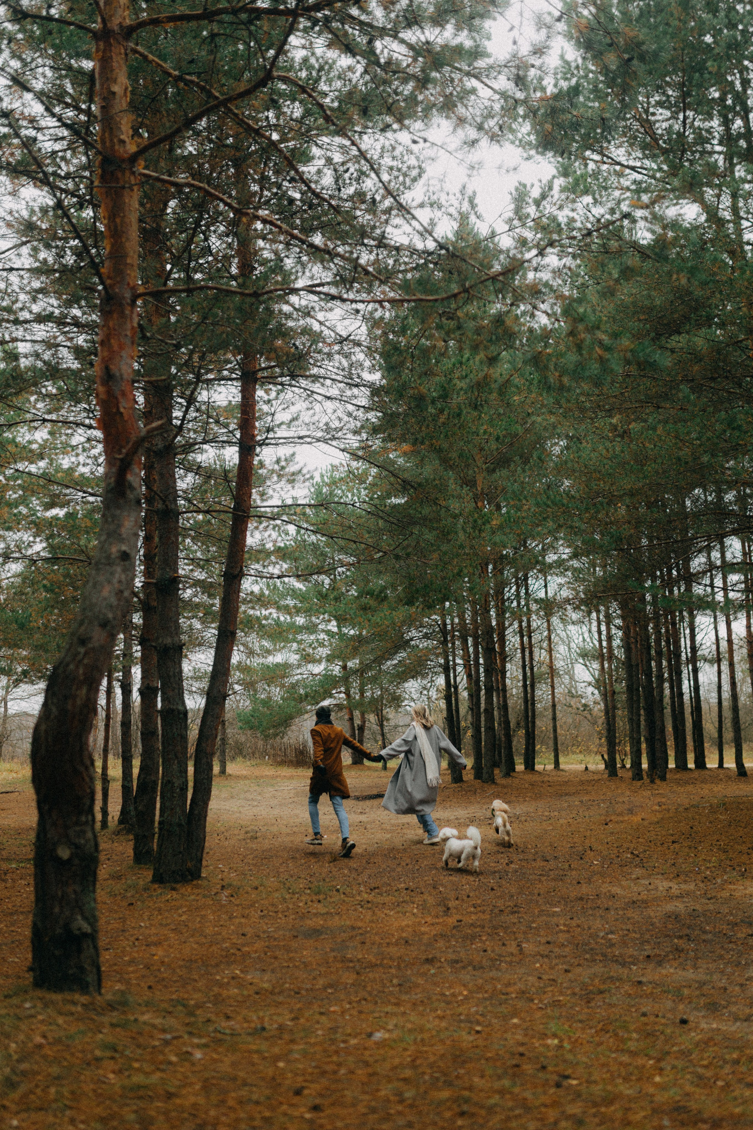 Лена & Миша. Фотограф НОГИНСК, Москва, Анастасия Белая