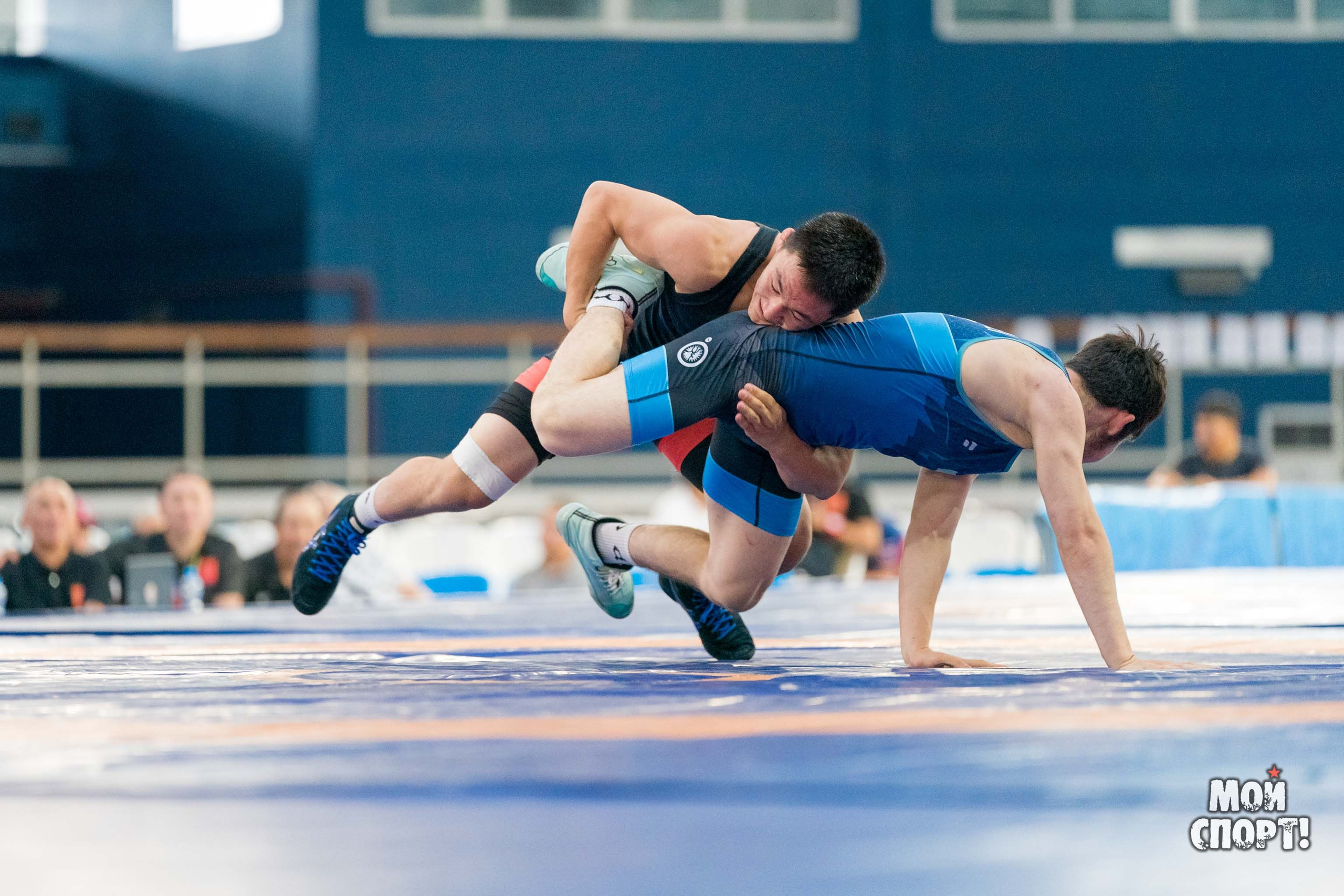 Соревнования по вольной борьбе в честь П. П. Пинигина. Студия «Мой Спорт!» — все о спорте в Якутии