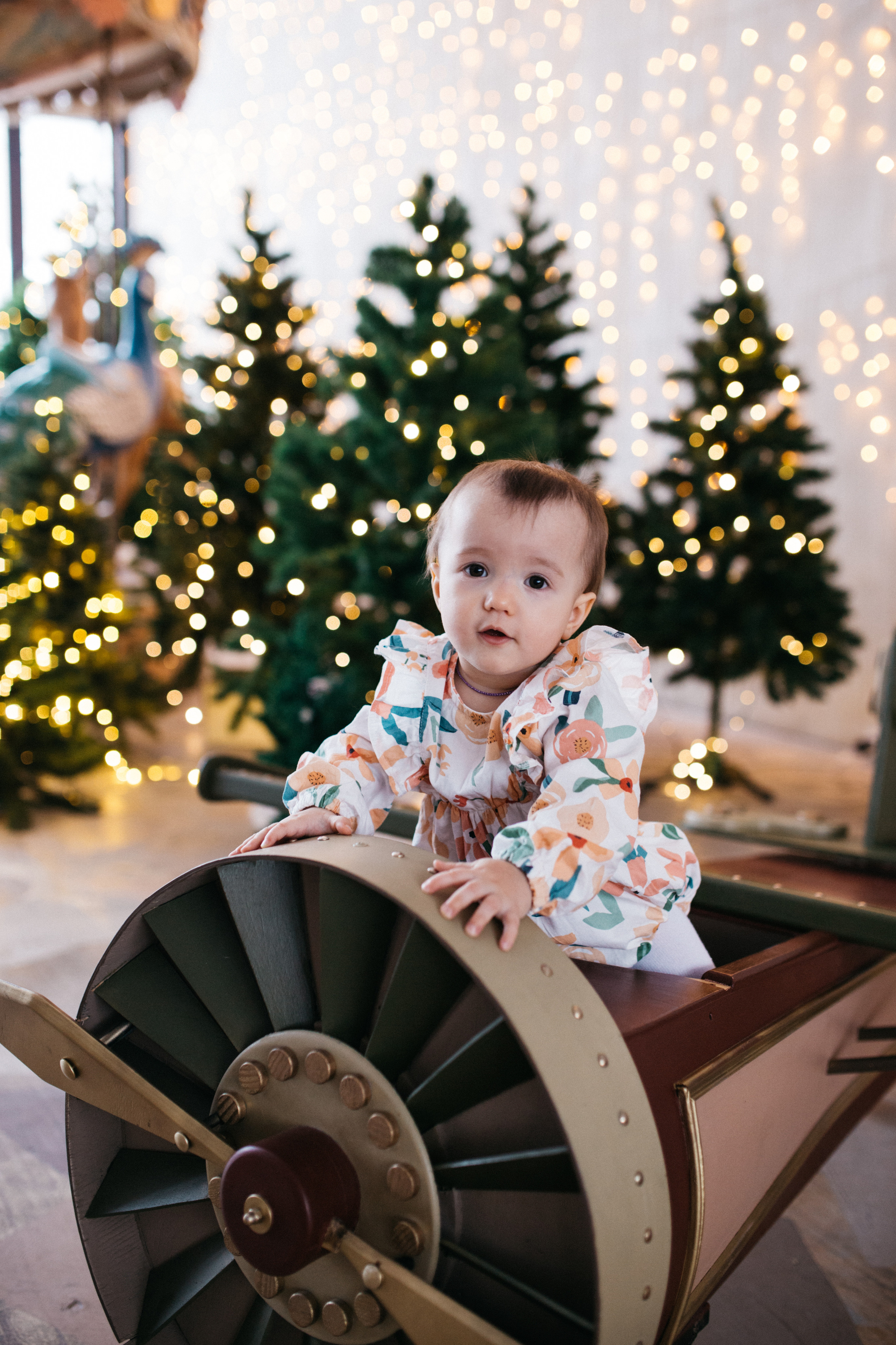 Годик Соне. Свадебный фотограф Екатерина Черкасская