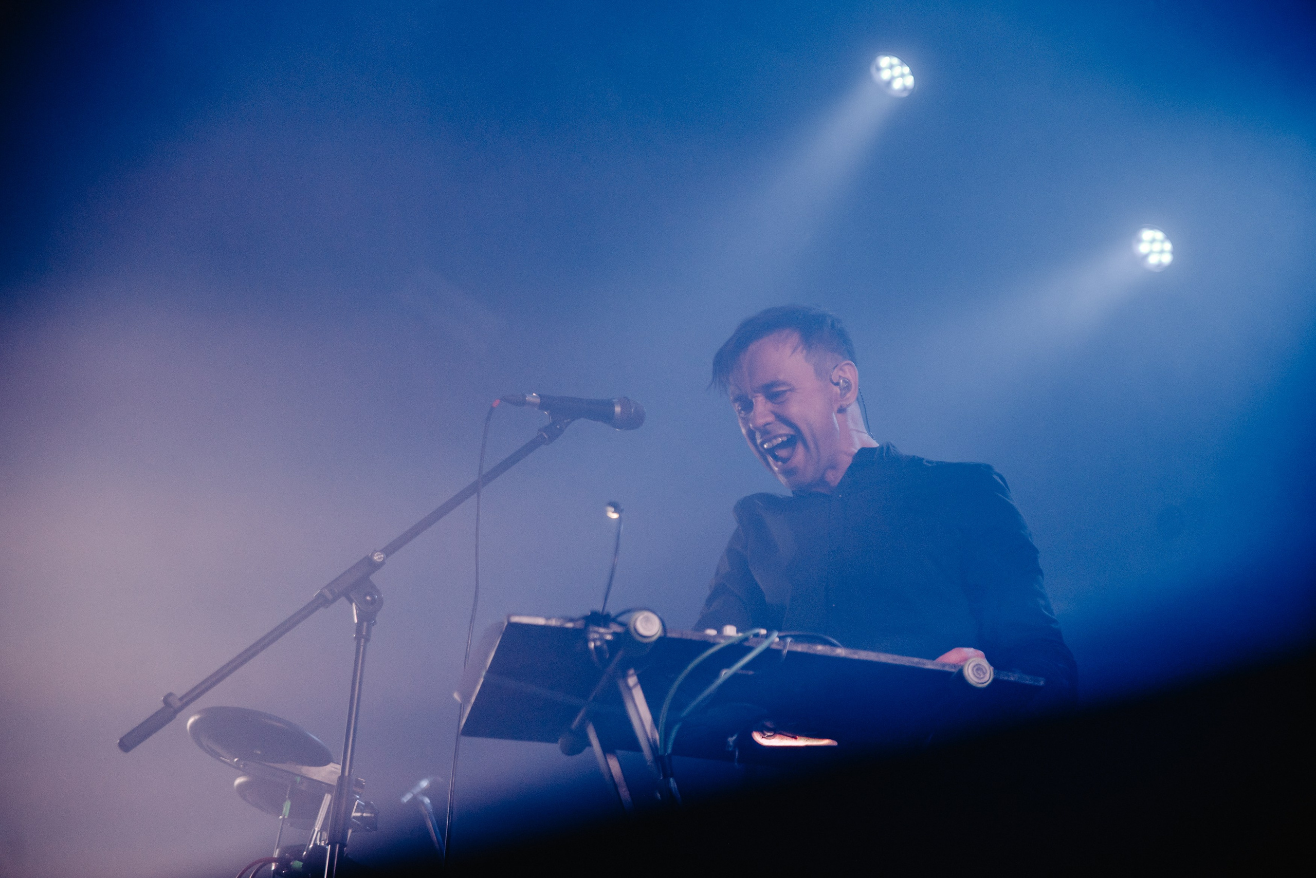 Дельфин | Gaudi. Контент фотограф Илья Урс