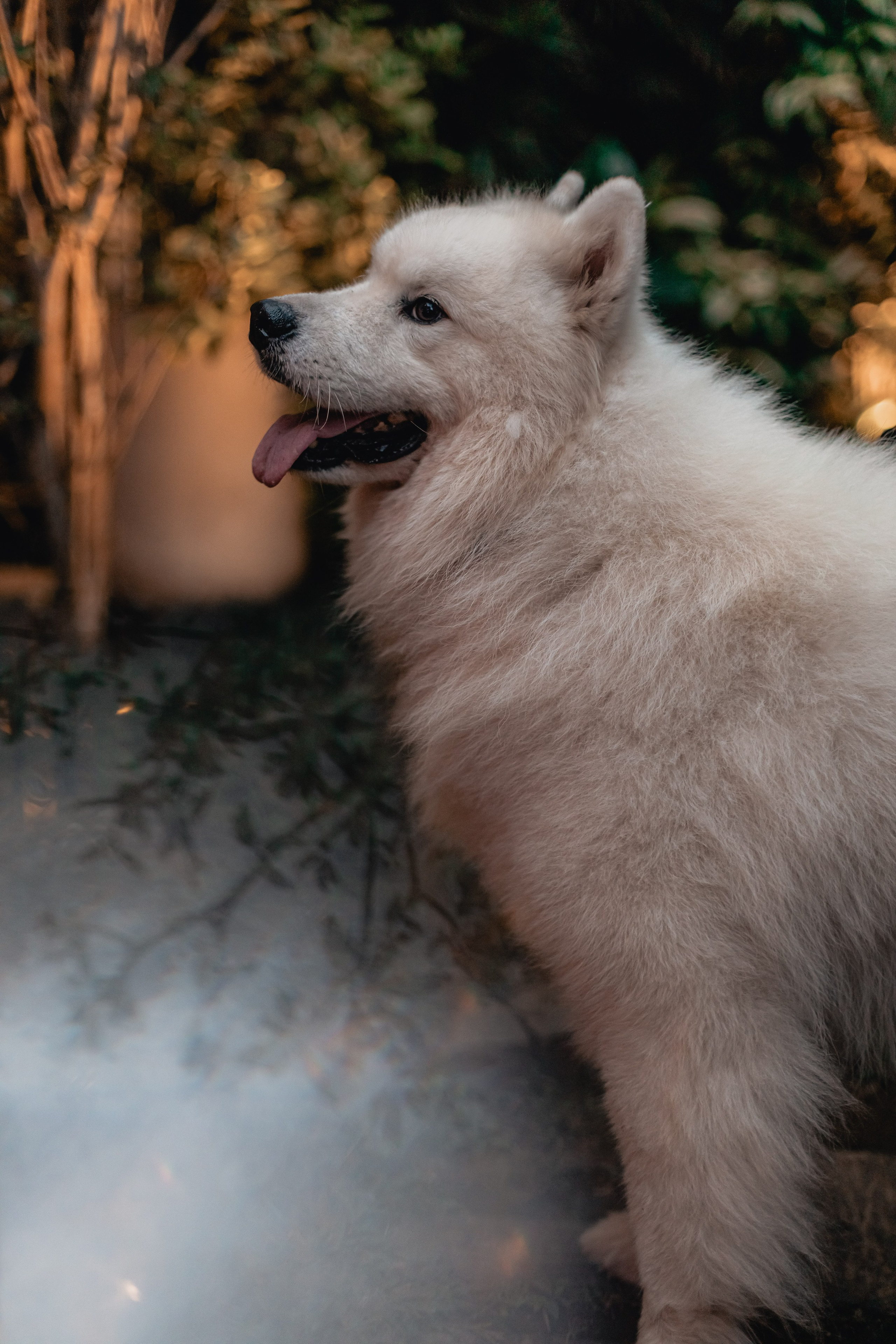 Yanas Handpan concert at Zest. Mariam Bagdasaryan