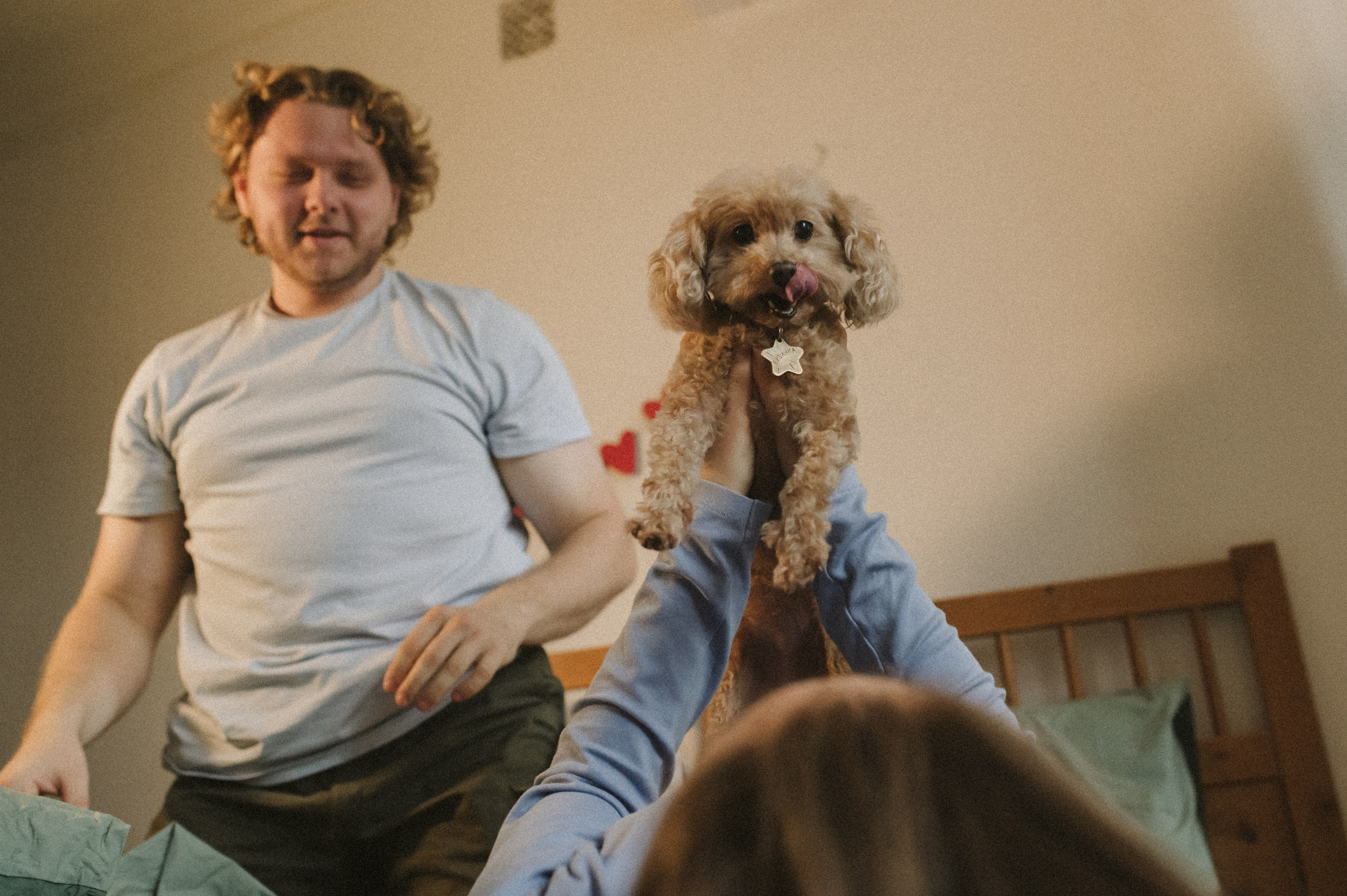 Ання и её кудрявая команда. Фотограф анималист в Москве Ольга Агушева