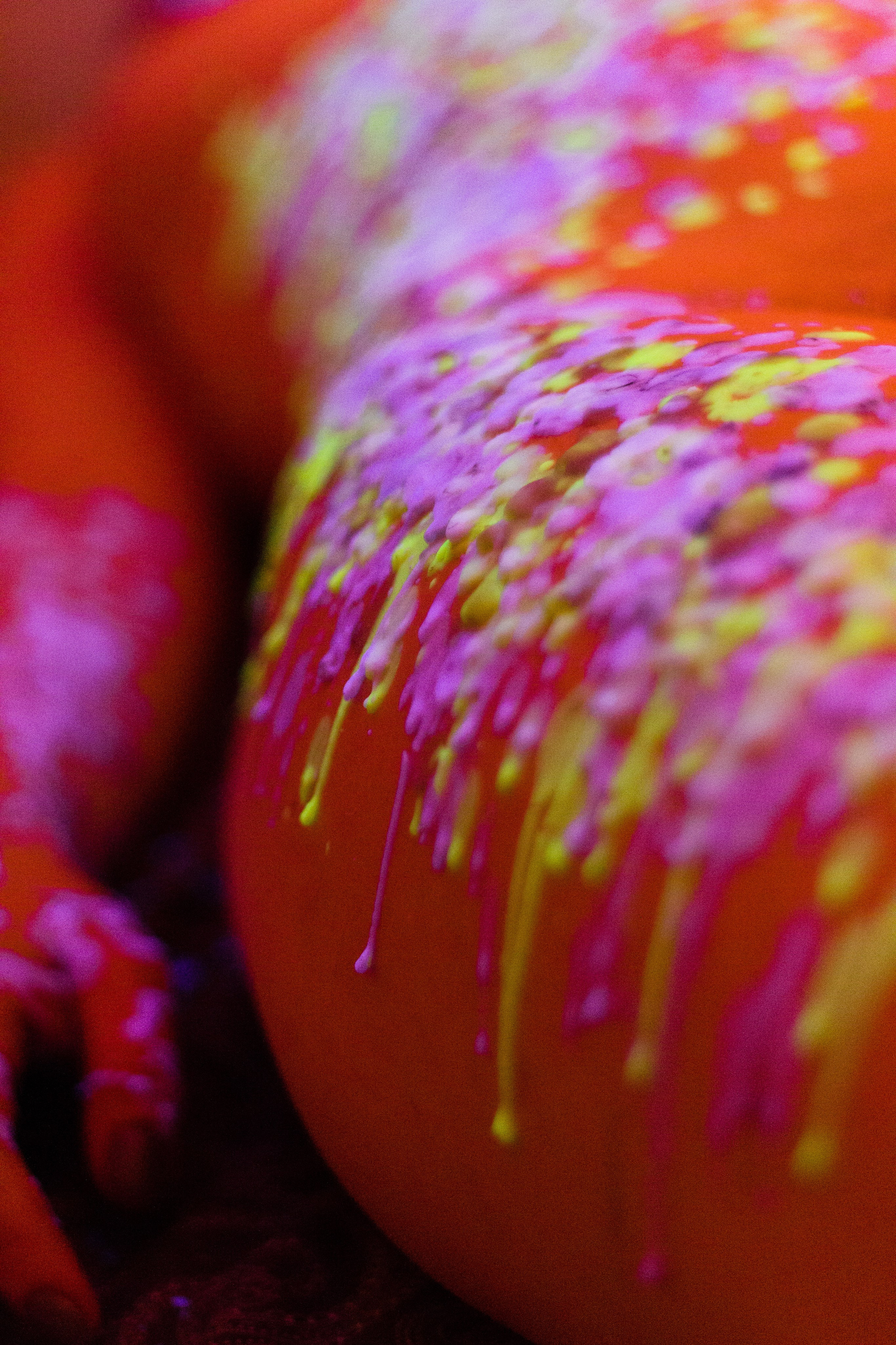 Шибари и ваксплей. Будуарный фотограф. Москва