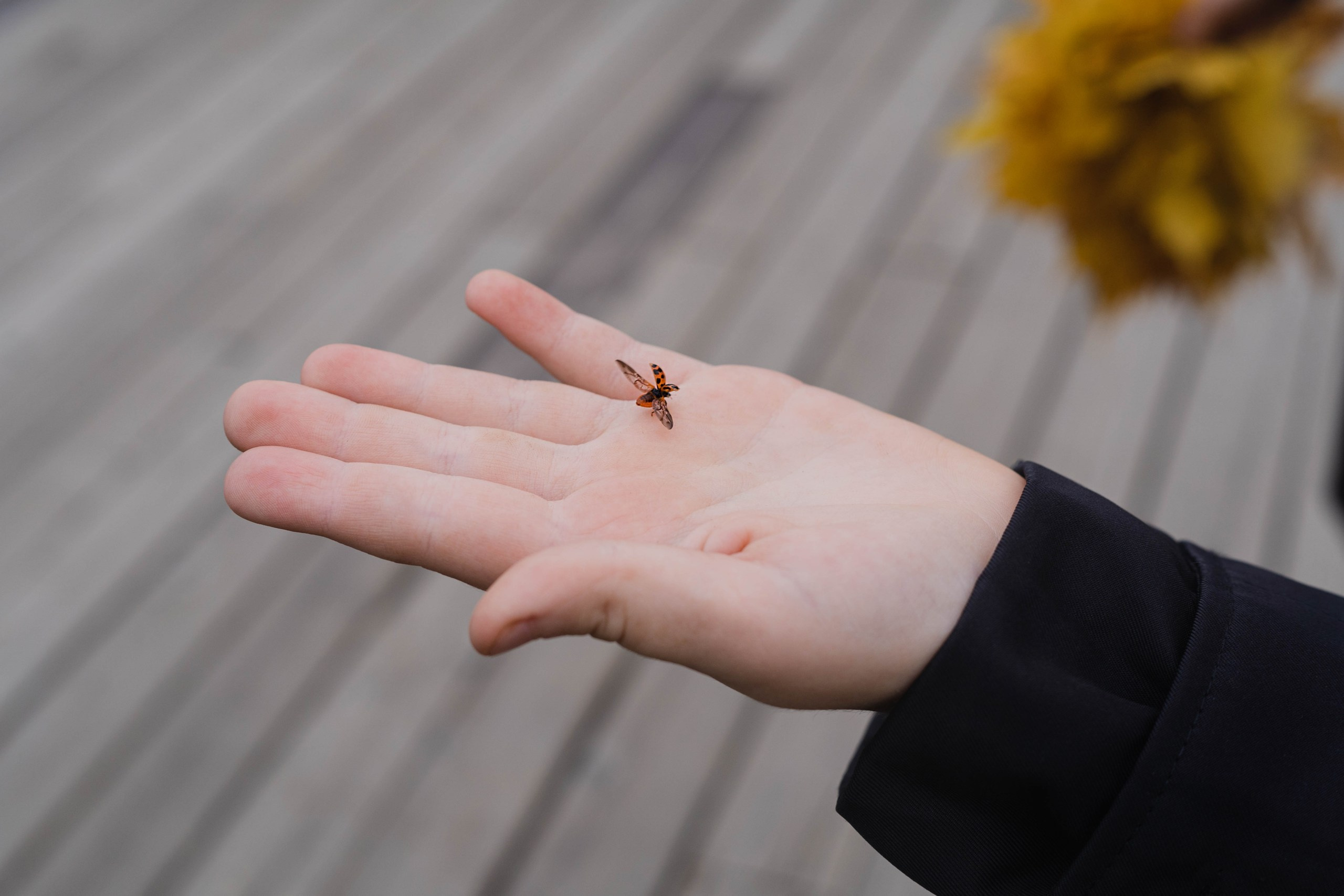 Семейные истории. ФОТОГРАФ КСЕНИЯ СОСНОВСКАЯ