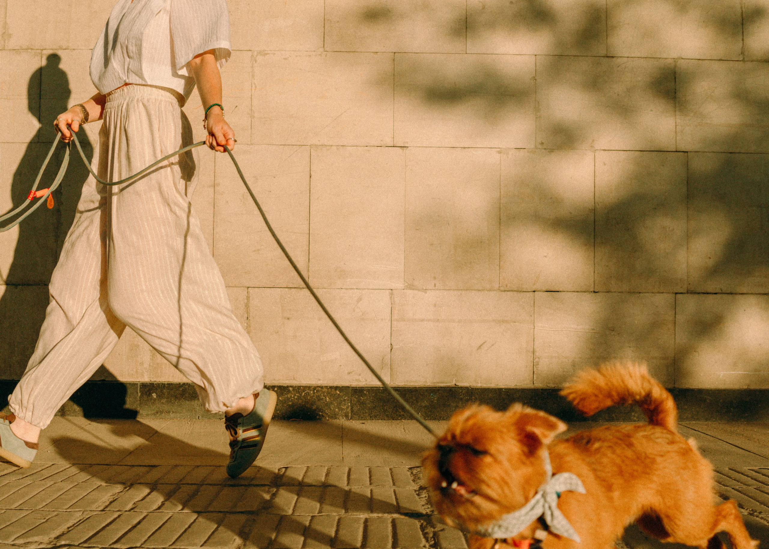 Лена и Альфи. Фотограф-анималист Ксения Воробьева, Москва