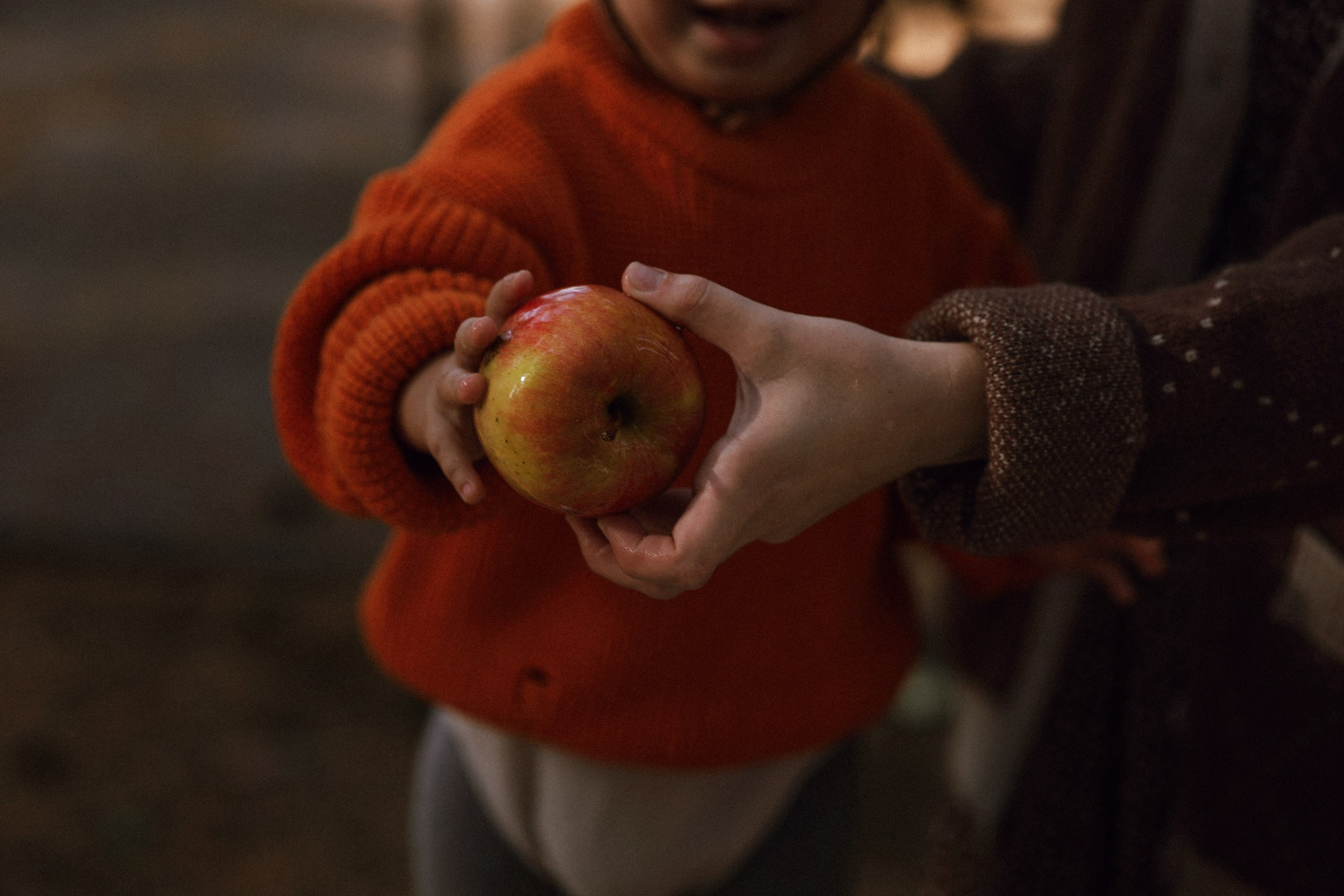 Маруся и Илюша. Настя Оленченко, портретный/семейный фотограф на цифру и плёнку Москва