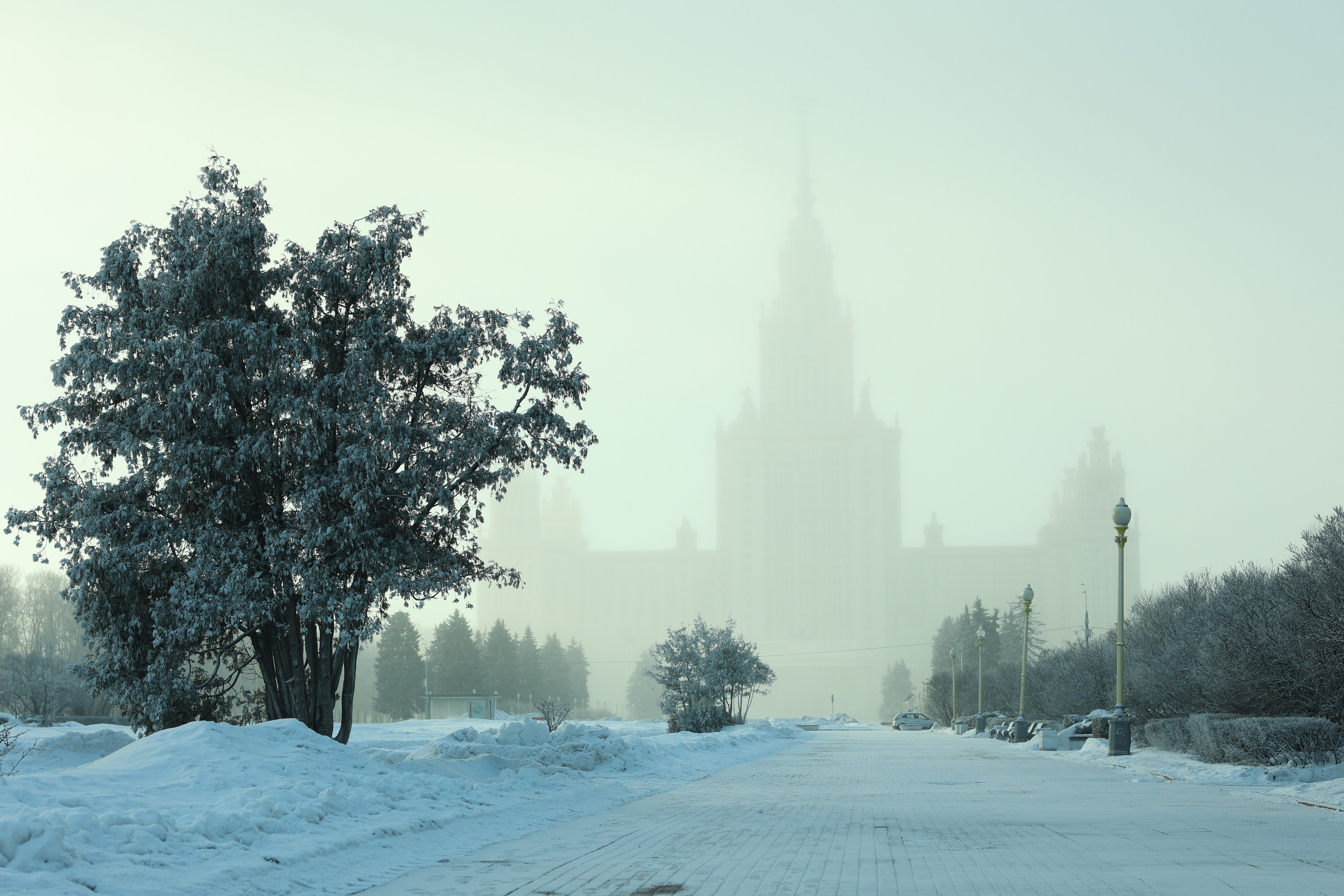 Пейзаж. Фотография как кино