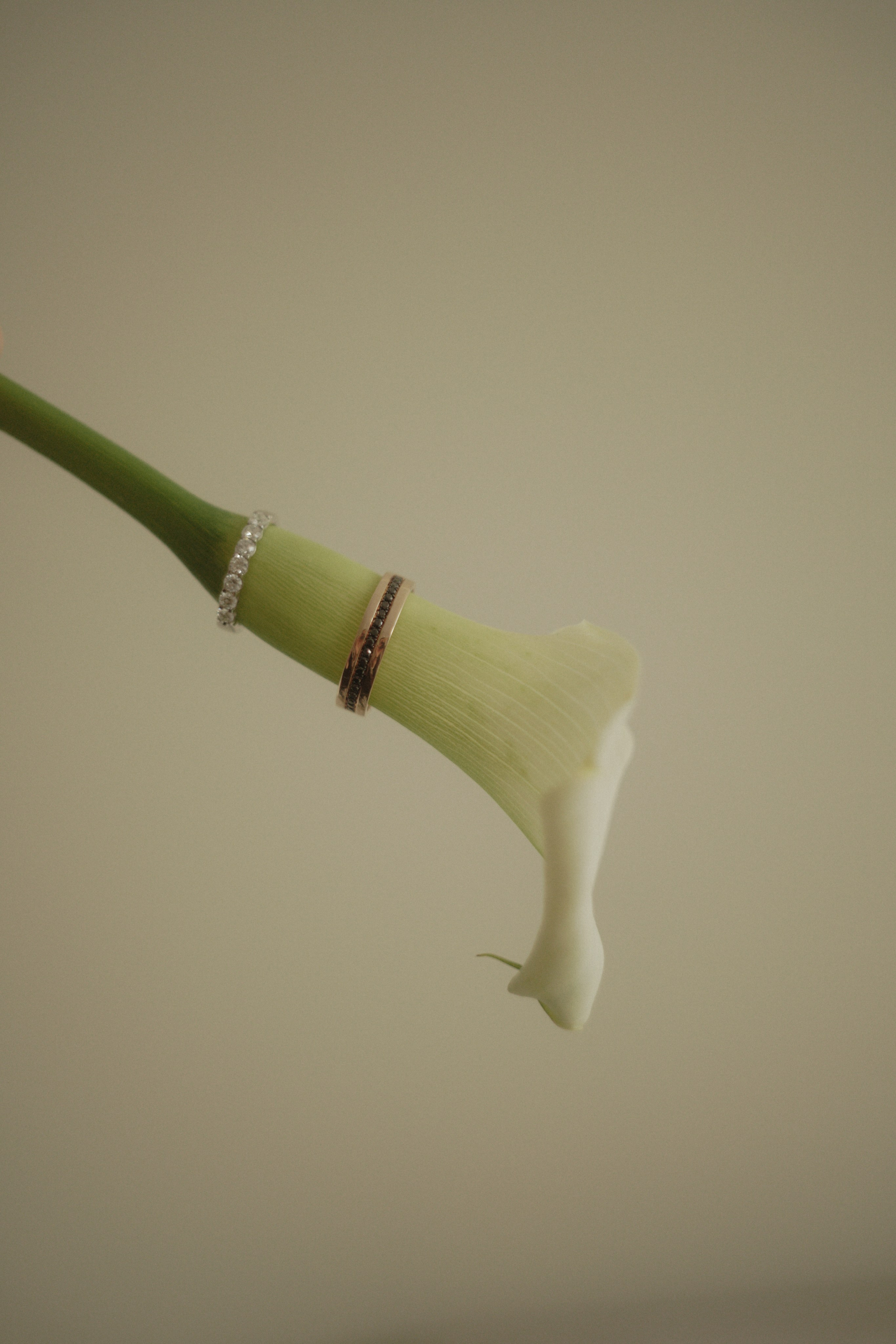 Максим и Ольга. Организатор Романова Любовь