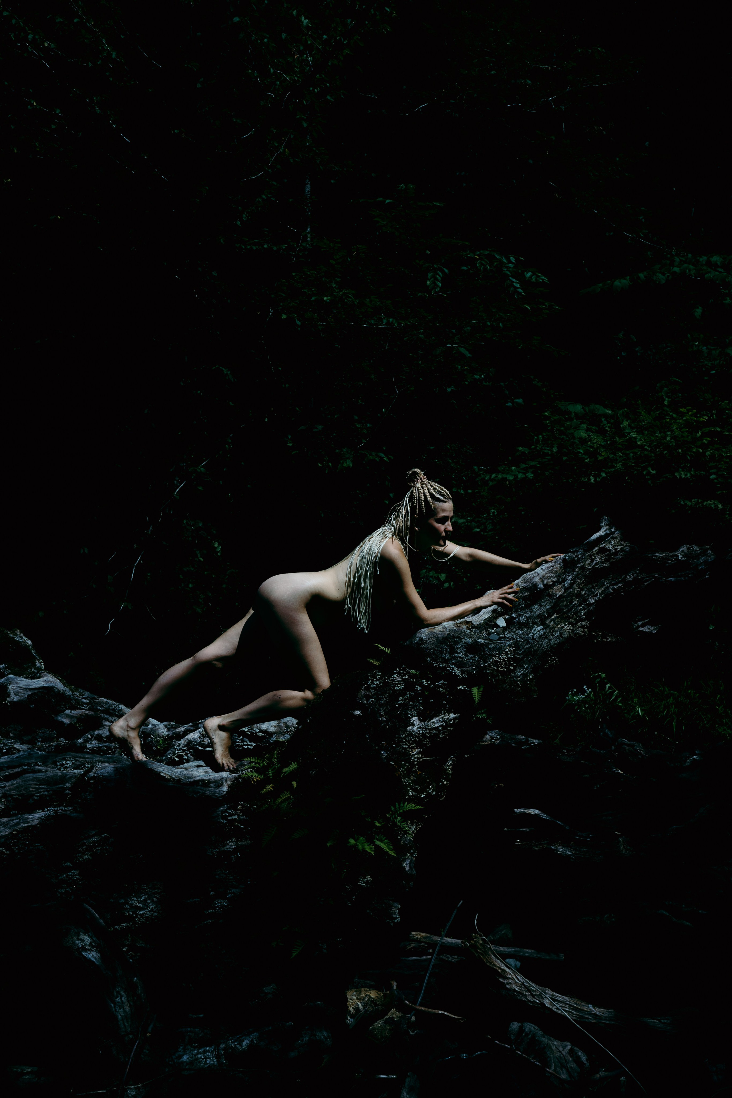 НЮ фотографии на дереве девушки 