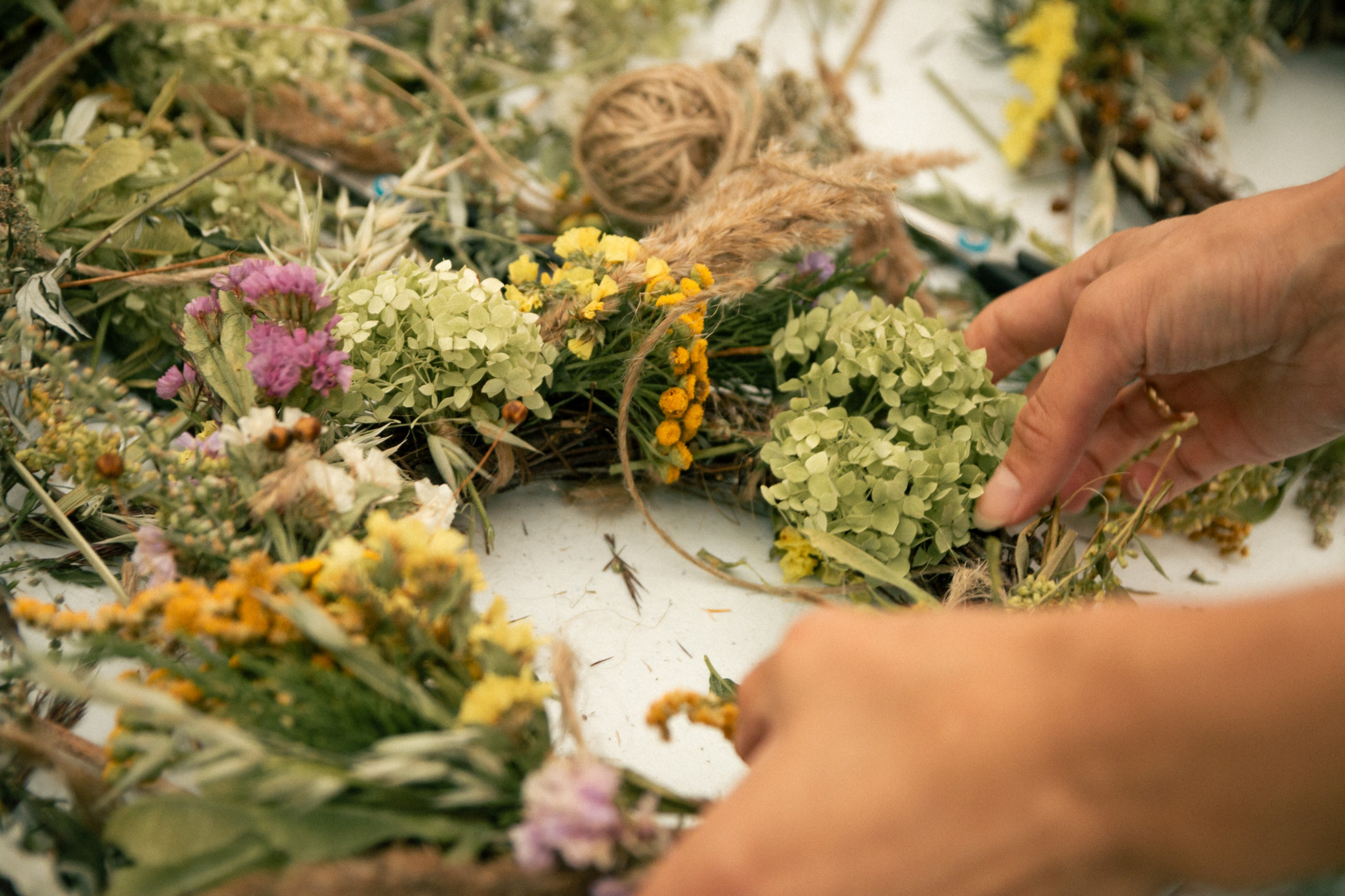 ЭкоФест 2024. Фотограф в Ярославле Никита Зайцев