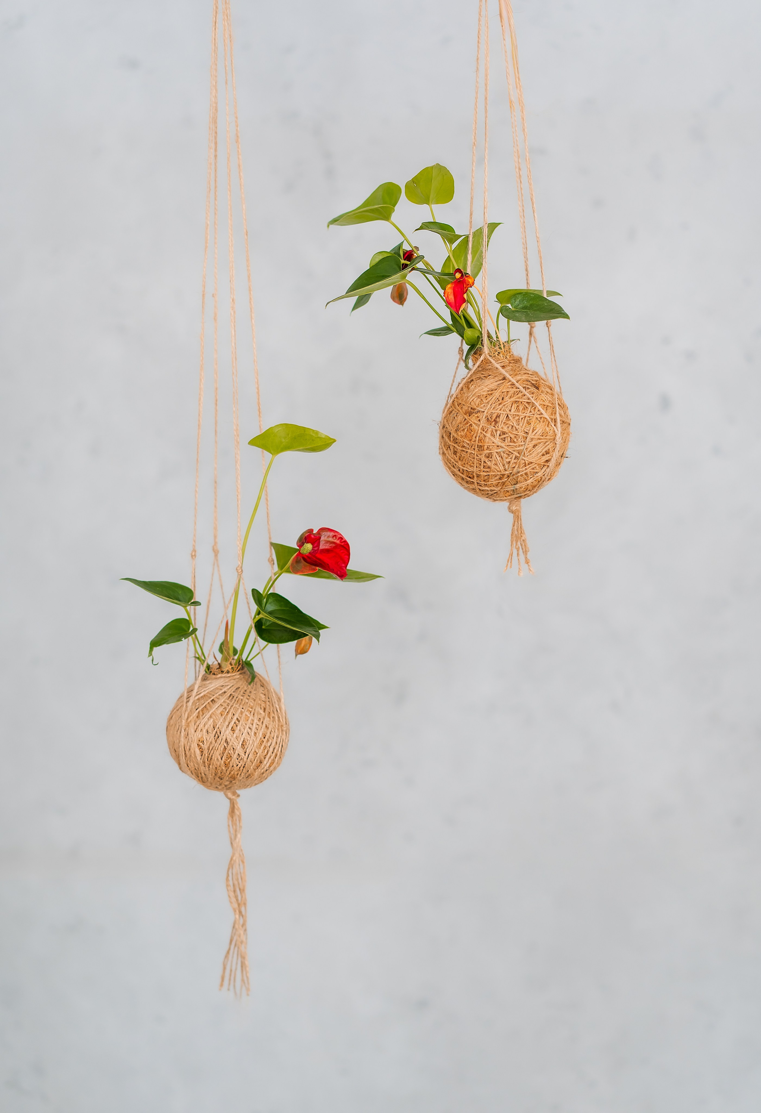 Анна. Фитодизайн. Семейный и женский фотограф. Видеомейкер в Новосибирске