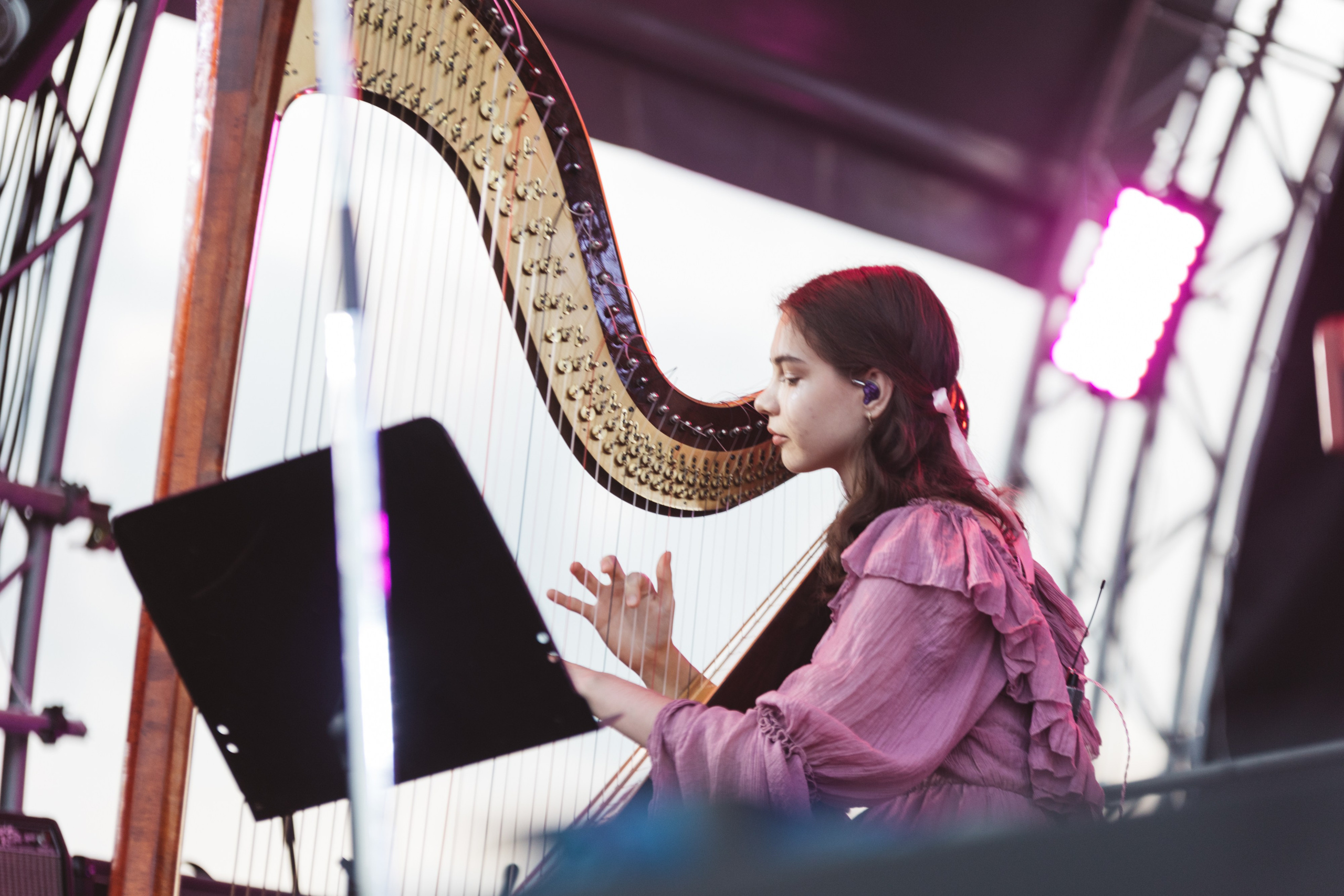ДИКАЯ МЯТА 14-16.06.24. Концертный и репортажный фотограф в Москве и Санкт-Петербурге Мария