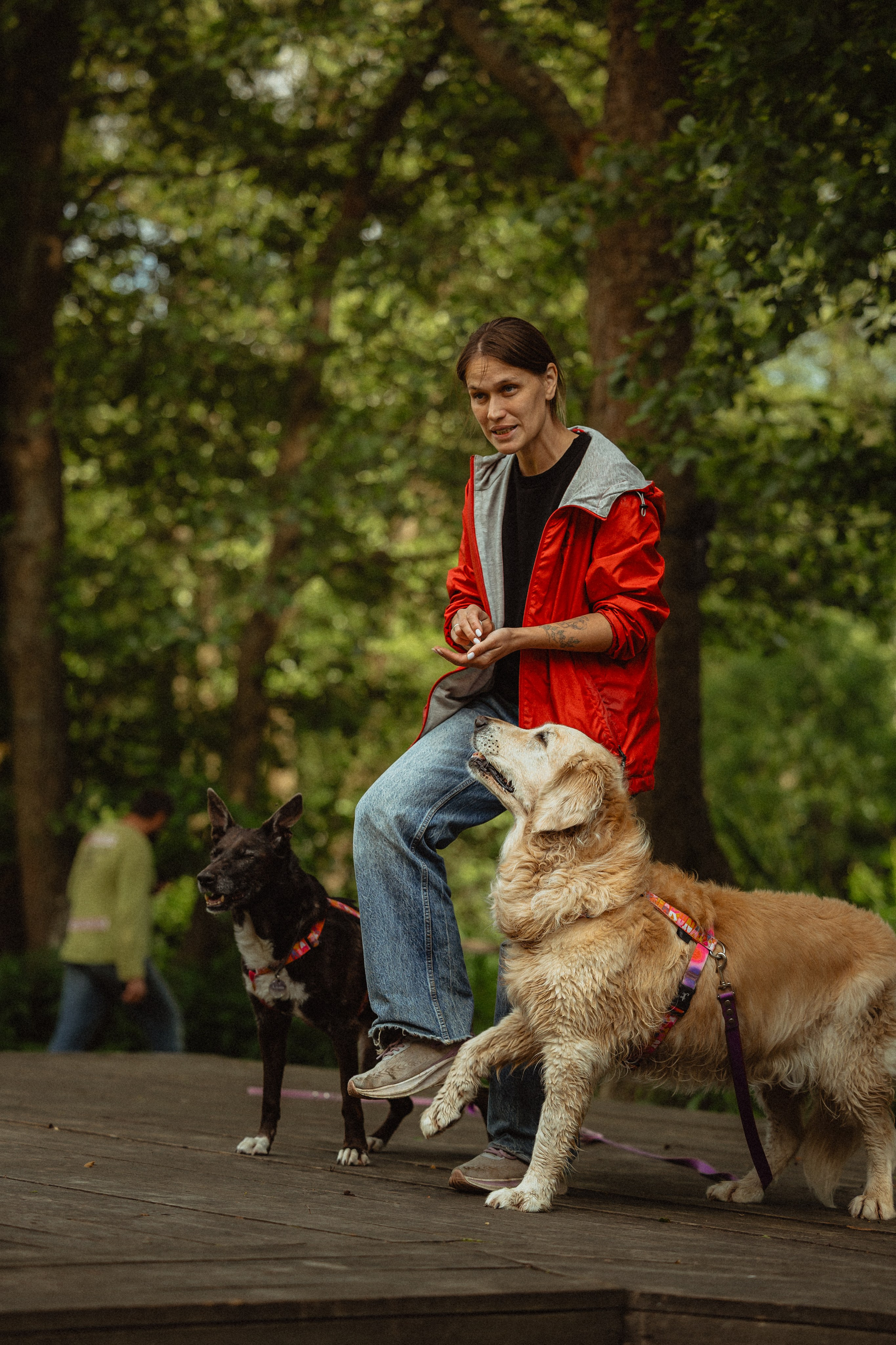 Выездной дог-тренинг от школы «Шерсть имею»