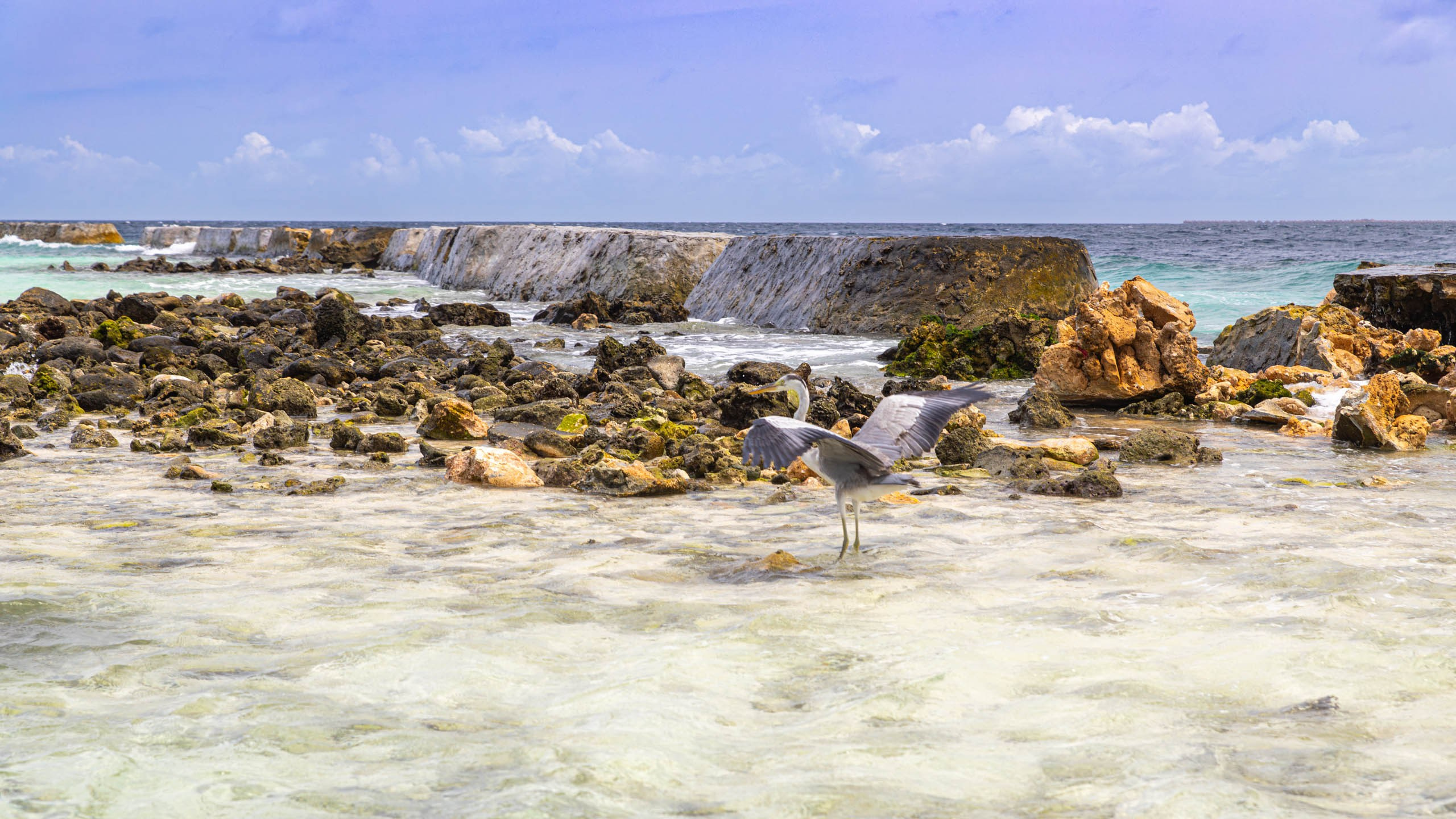 Мальдивы, Ellaidhoo Maldives by Cinnamon