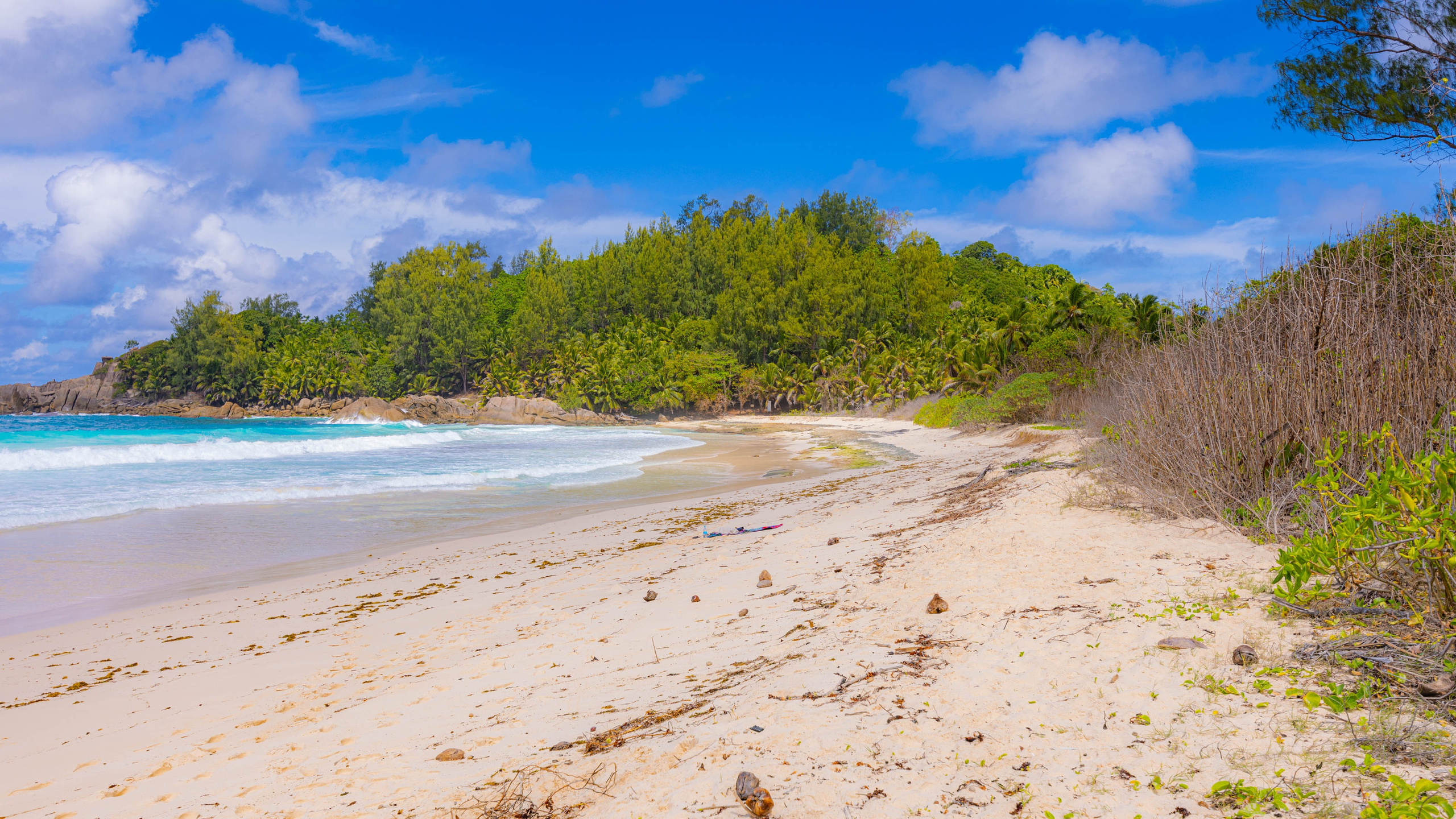 2025 07 Сейшелы (Маэ). Фотографии
