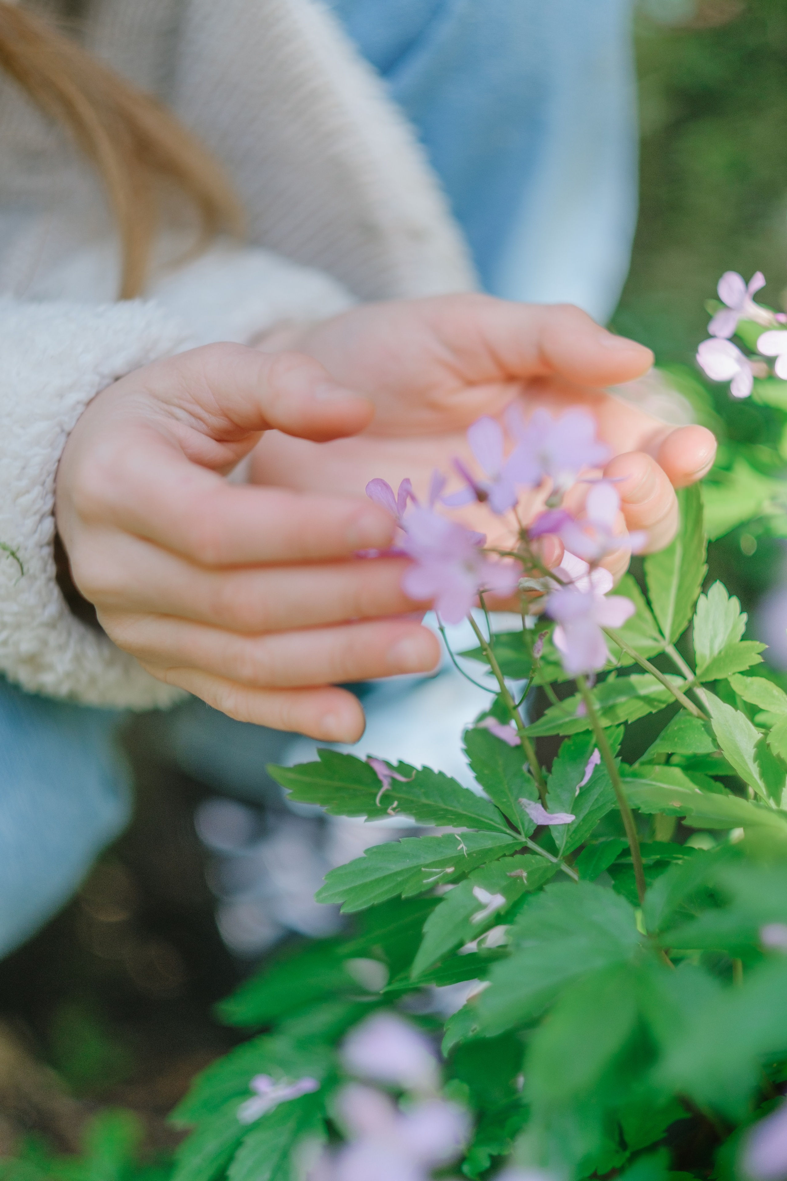 Белые скалы. Свадебный Видеограф Фотограф в Сочи