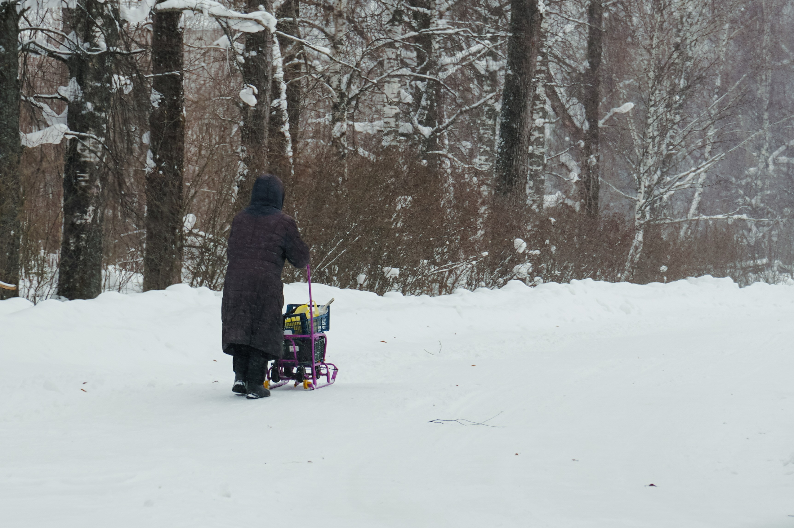 Кировская область, Февраль 2022