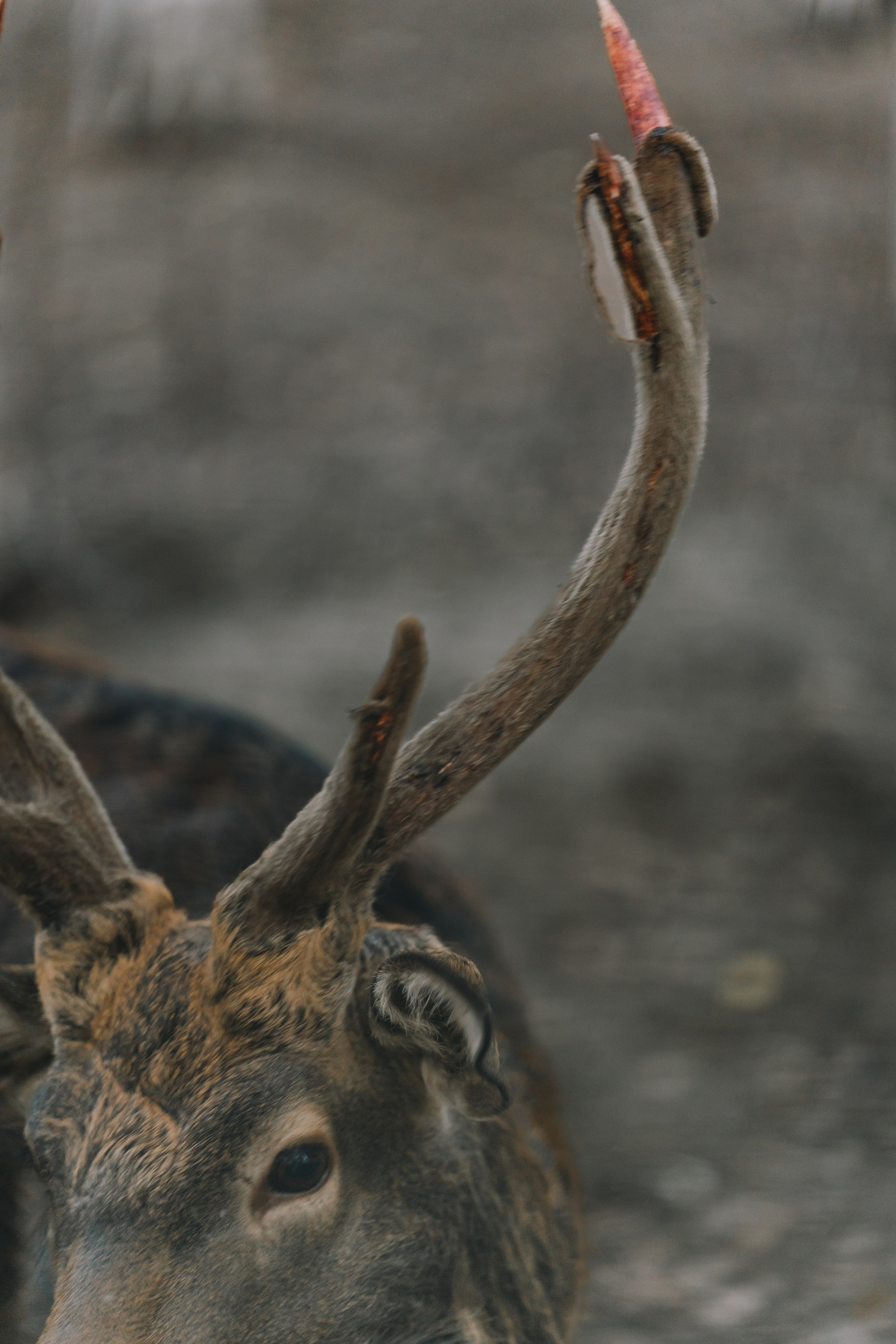 Усть-Каменогорск, Сентябрь 2024