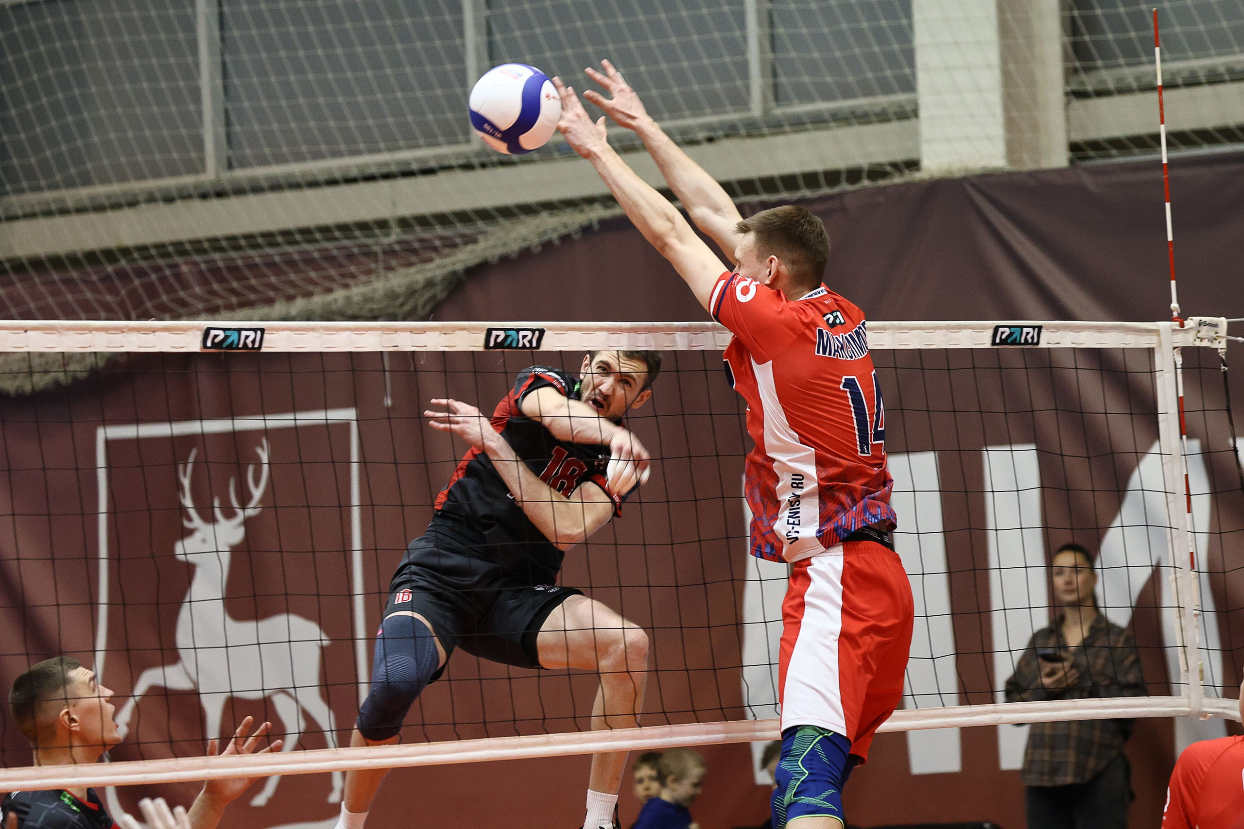 ВОЛЕЙБОЛ. Reportage photographer in Nizhny Novgorod and Moscow angelina Ilyichev