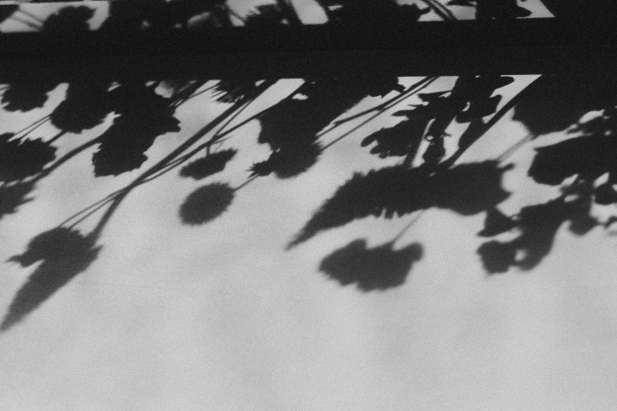 Рождение Венеры. Фотограф Serj Ganso