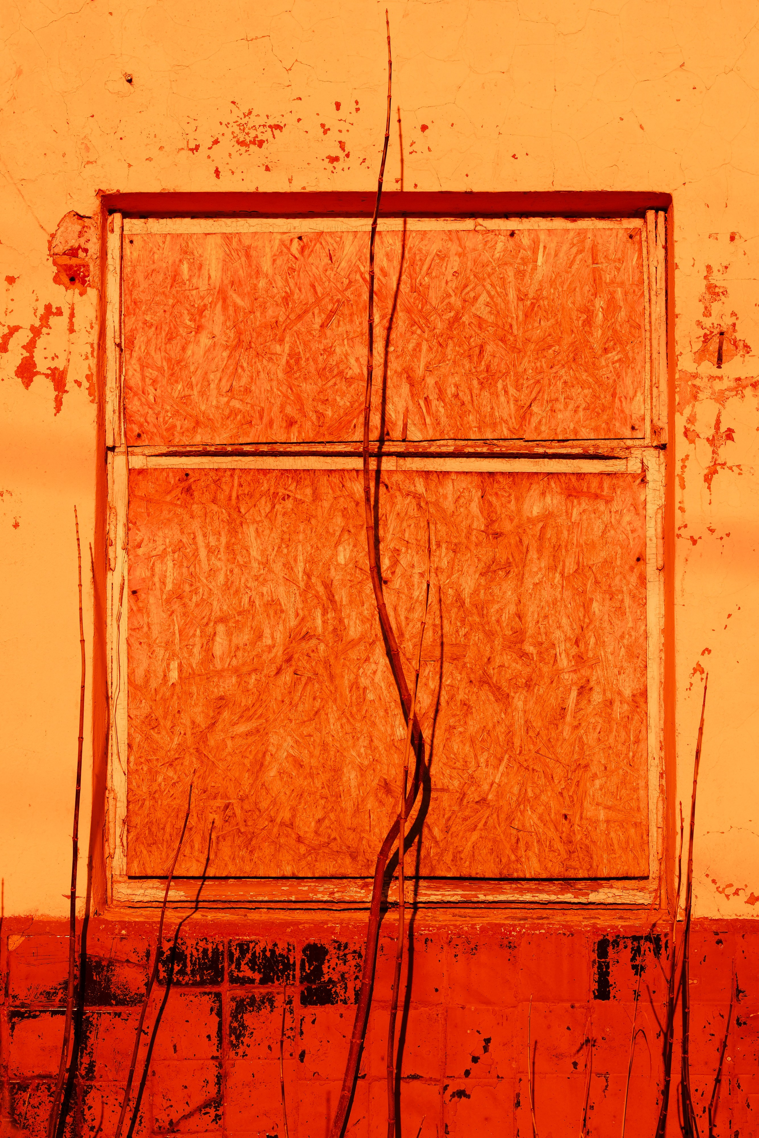 Окна. Фотограф в Москве, в Самаре Инна Мамонова