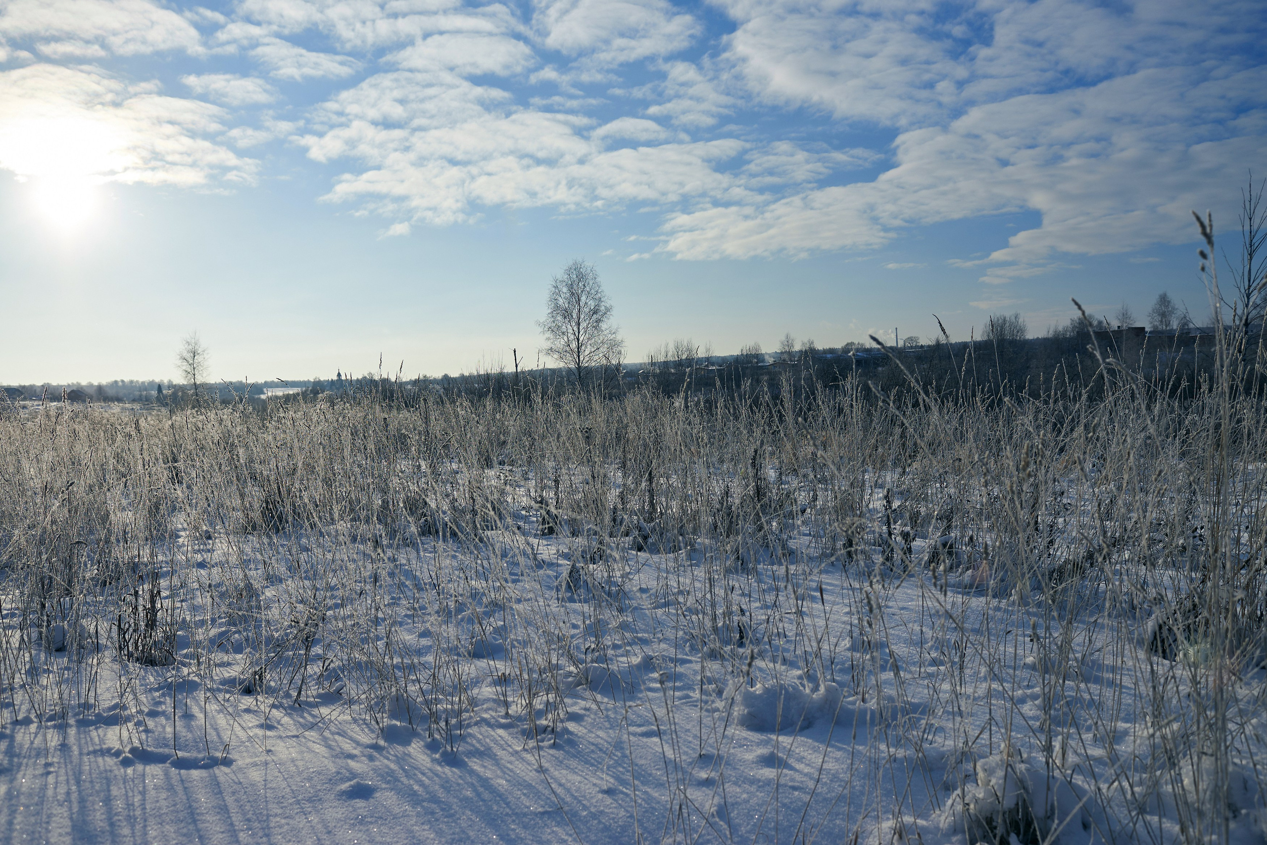 «Яблоки на снегу» Дмитров, 07.01.2015. Лови небо! Дыши небом!