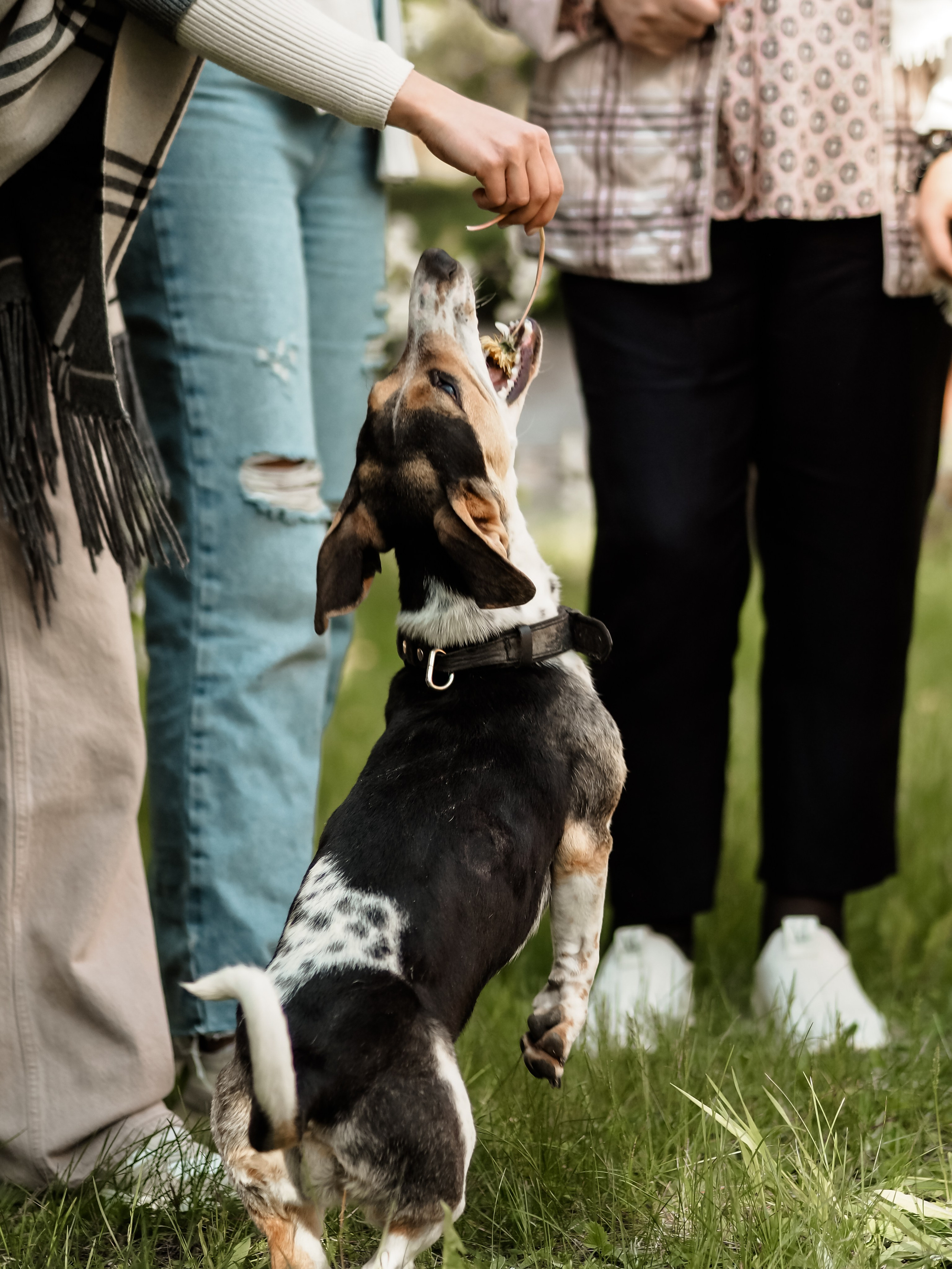 История. Фотограф Рязань. Семейный Свадебный фотограф