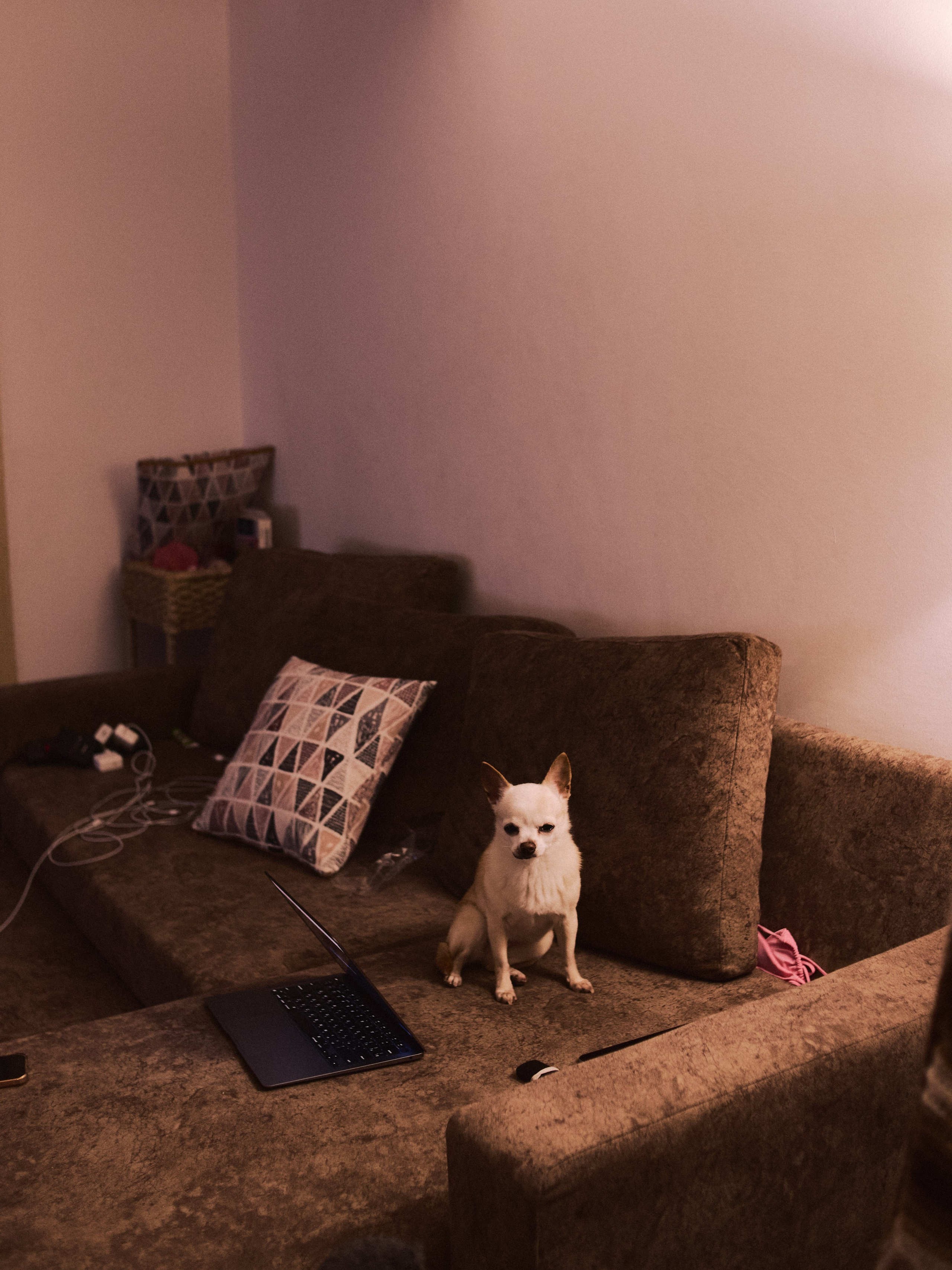 Диптих. Jorgis — фотограф в Хургаде / обучение фотографии