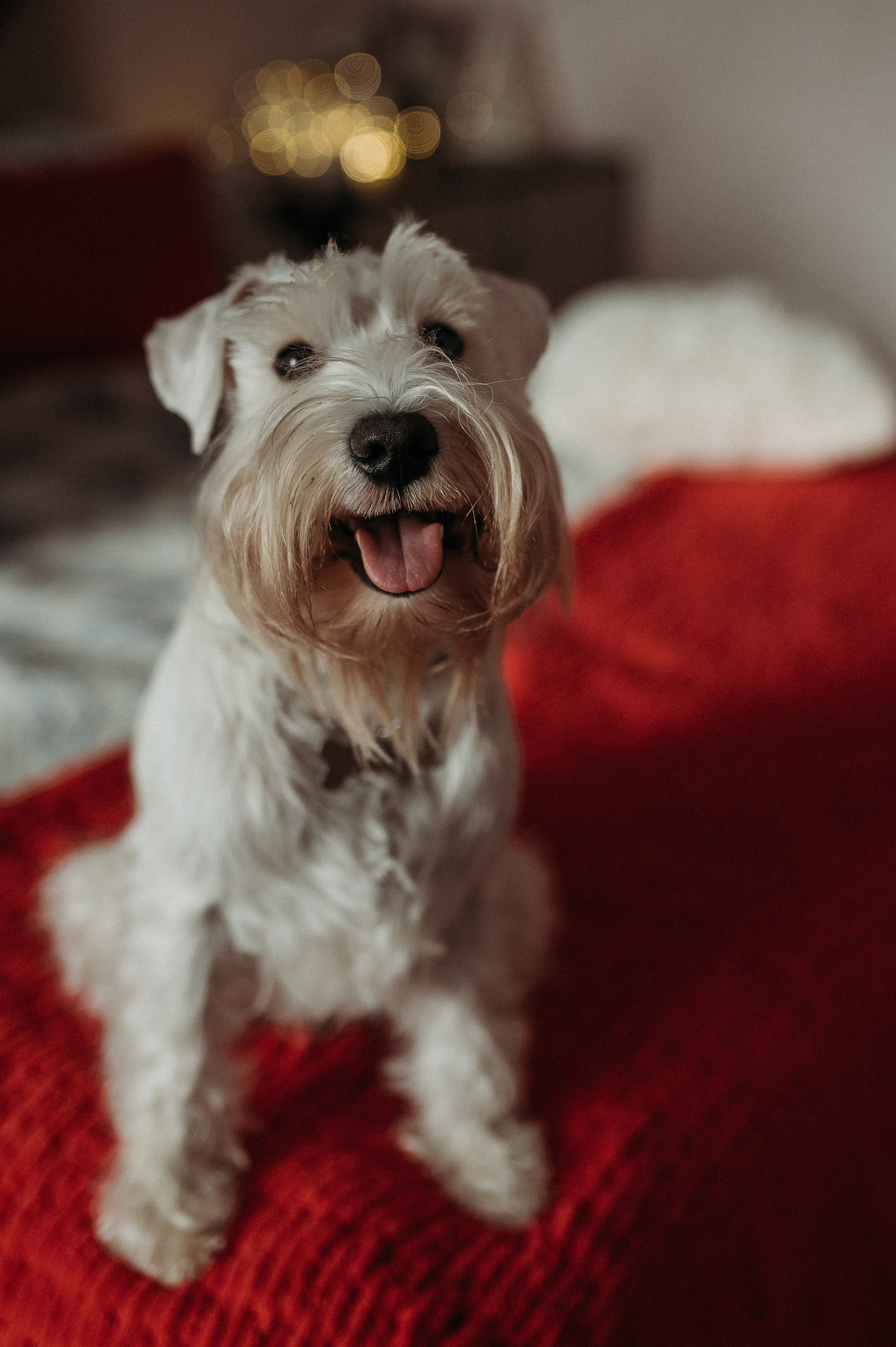 Кристина, Дима, Даня. Www.ostermiller.ru