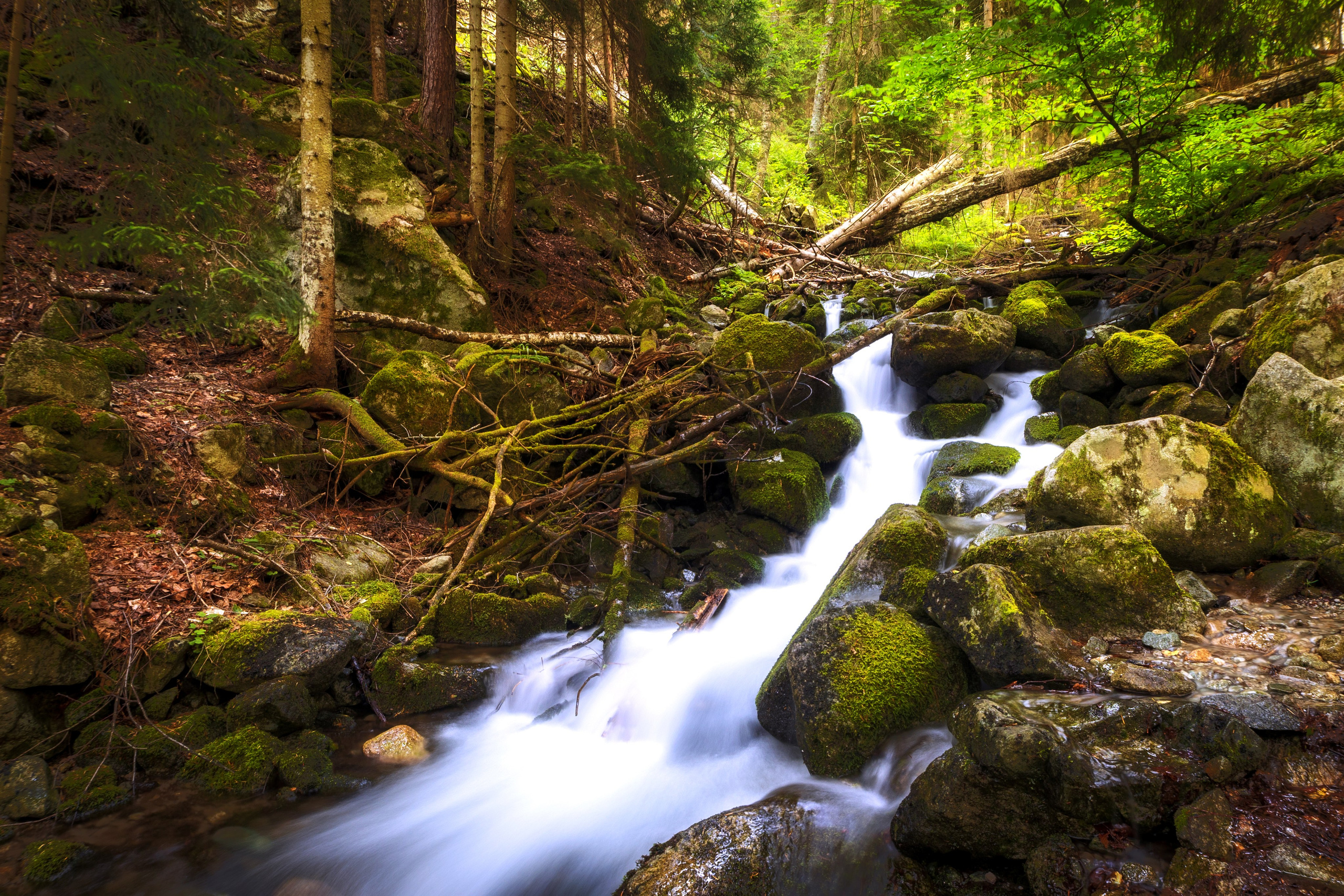 Домбай. Фотохудожник Артём Парамонов